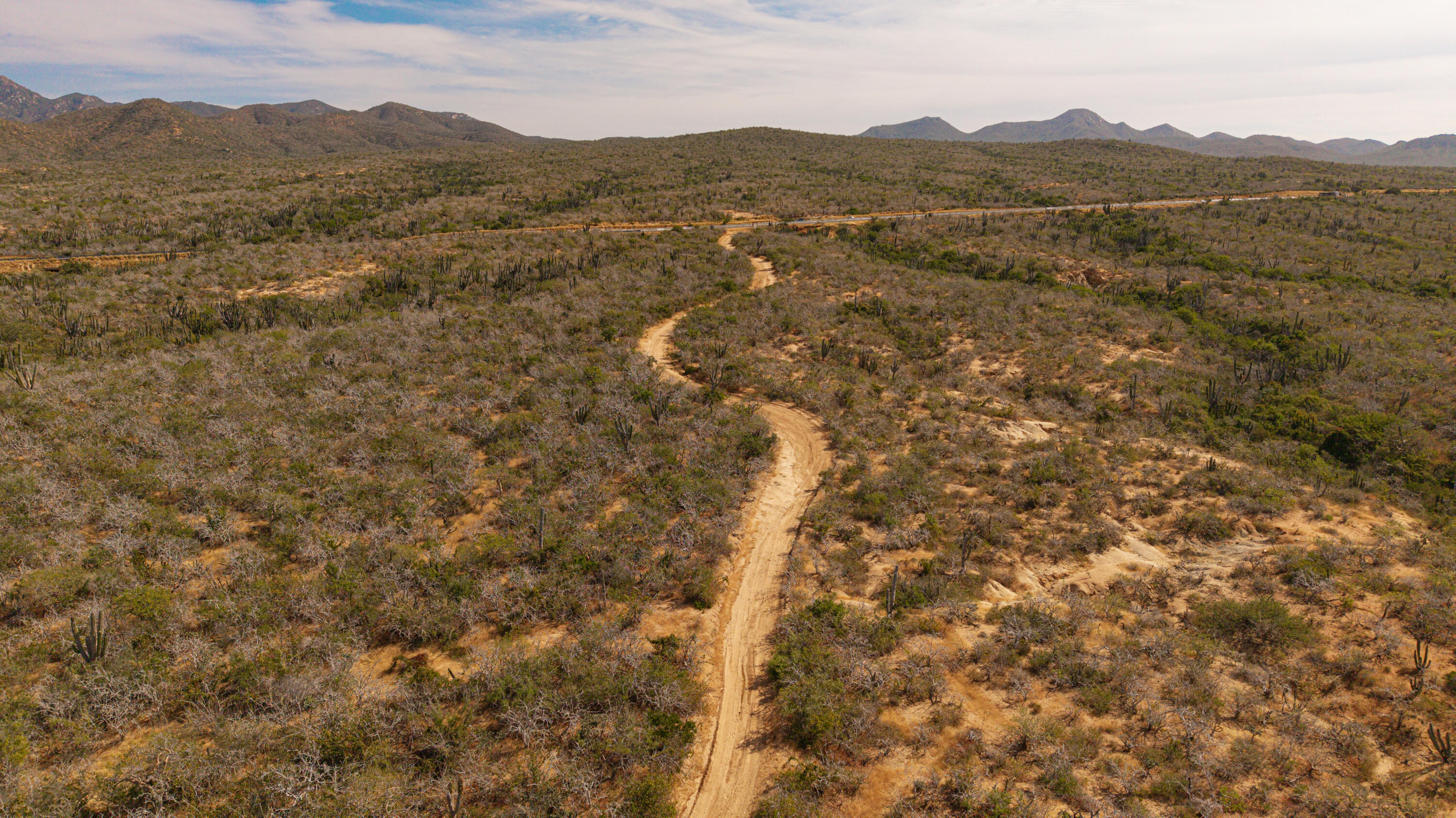 MLS #25-5661 image #28