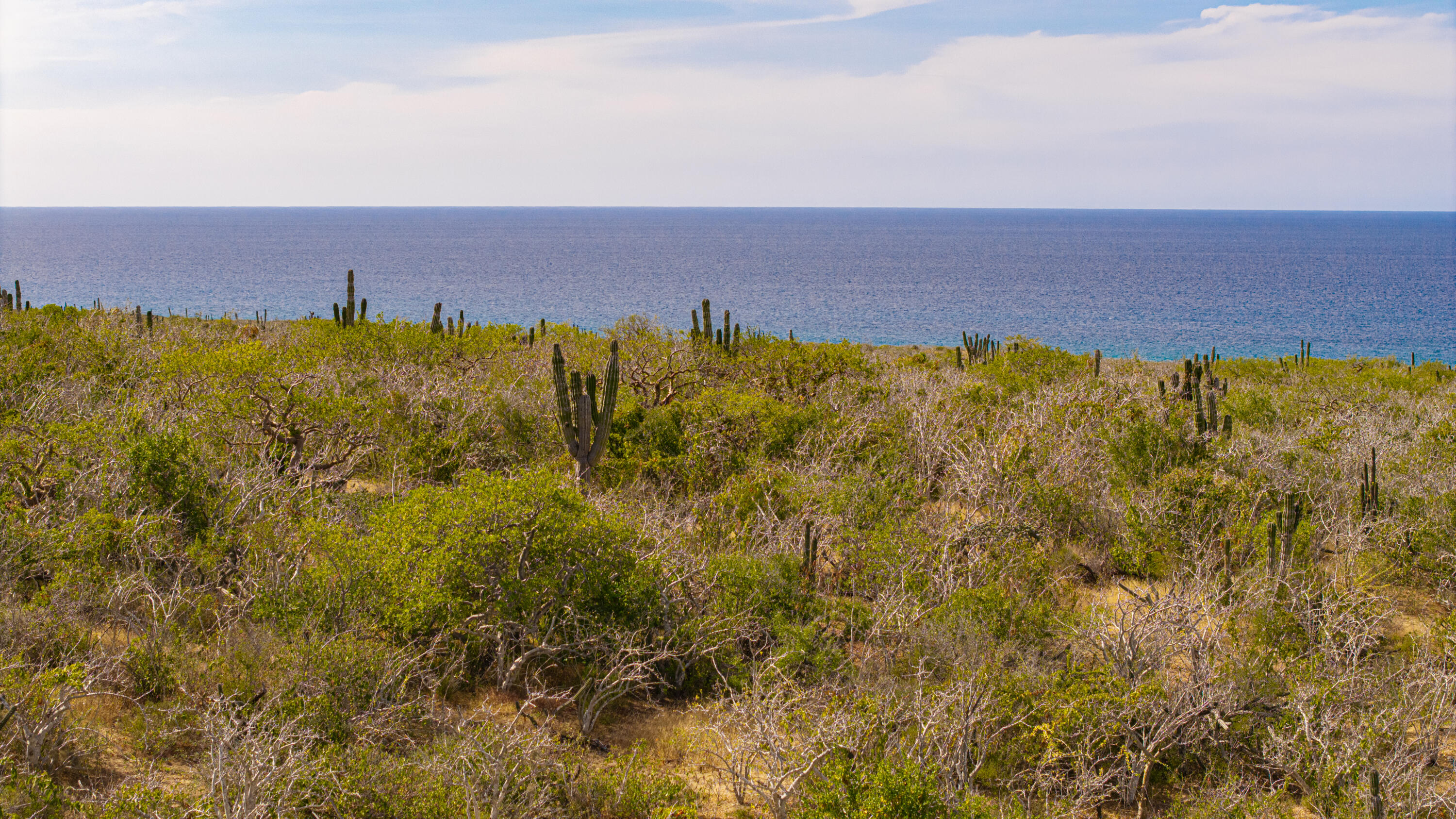 MLS #25-5661 image #29