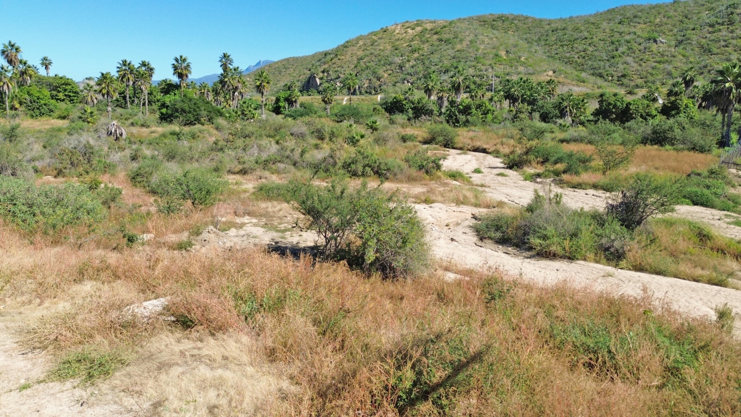 MLS #25-5748 image #10