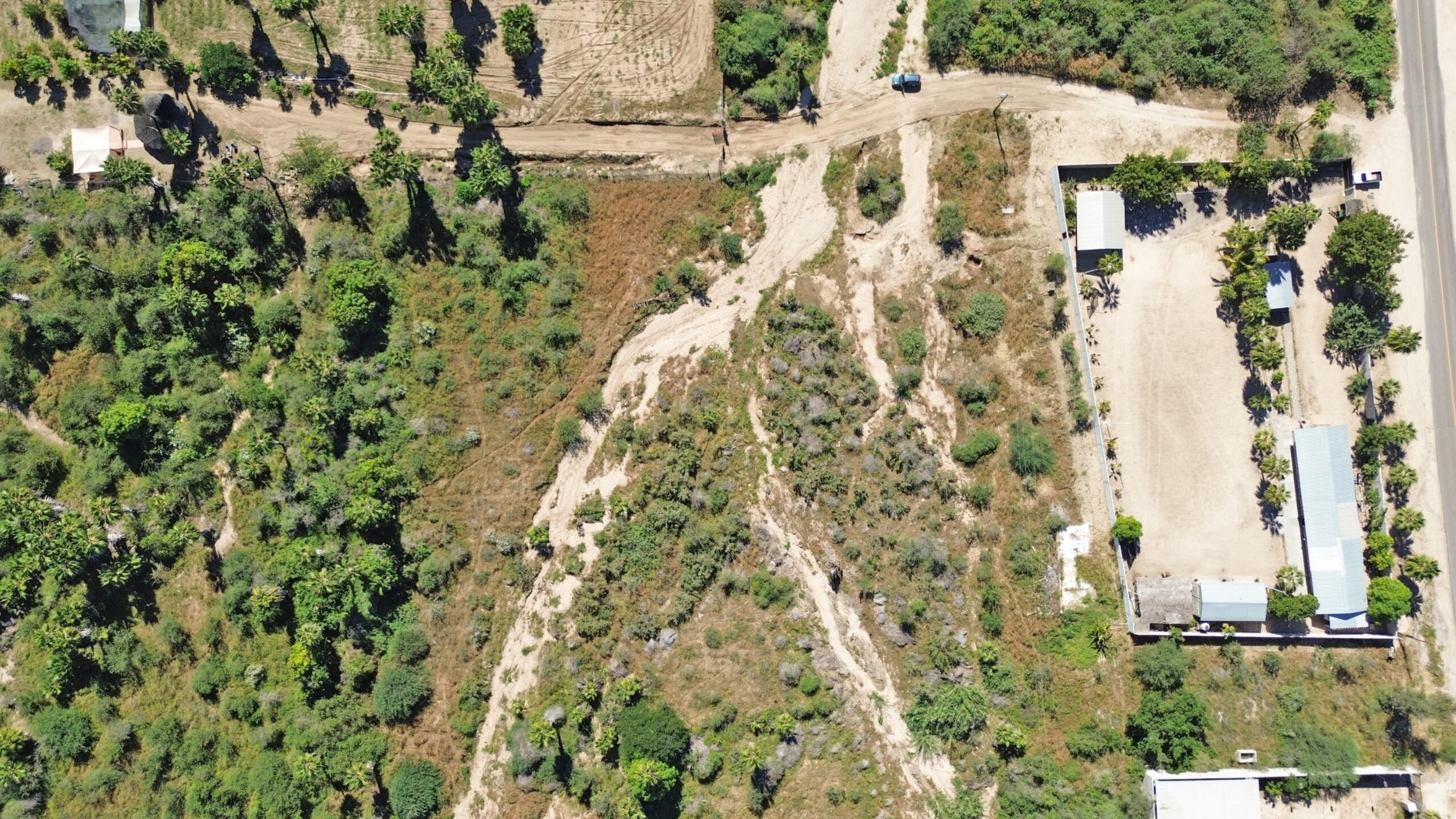 MLS #25-5748 image #11