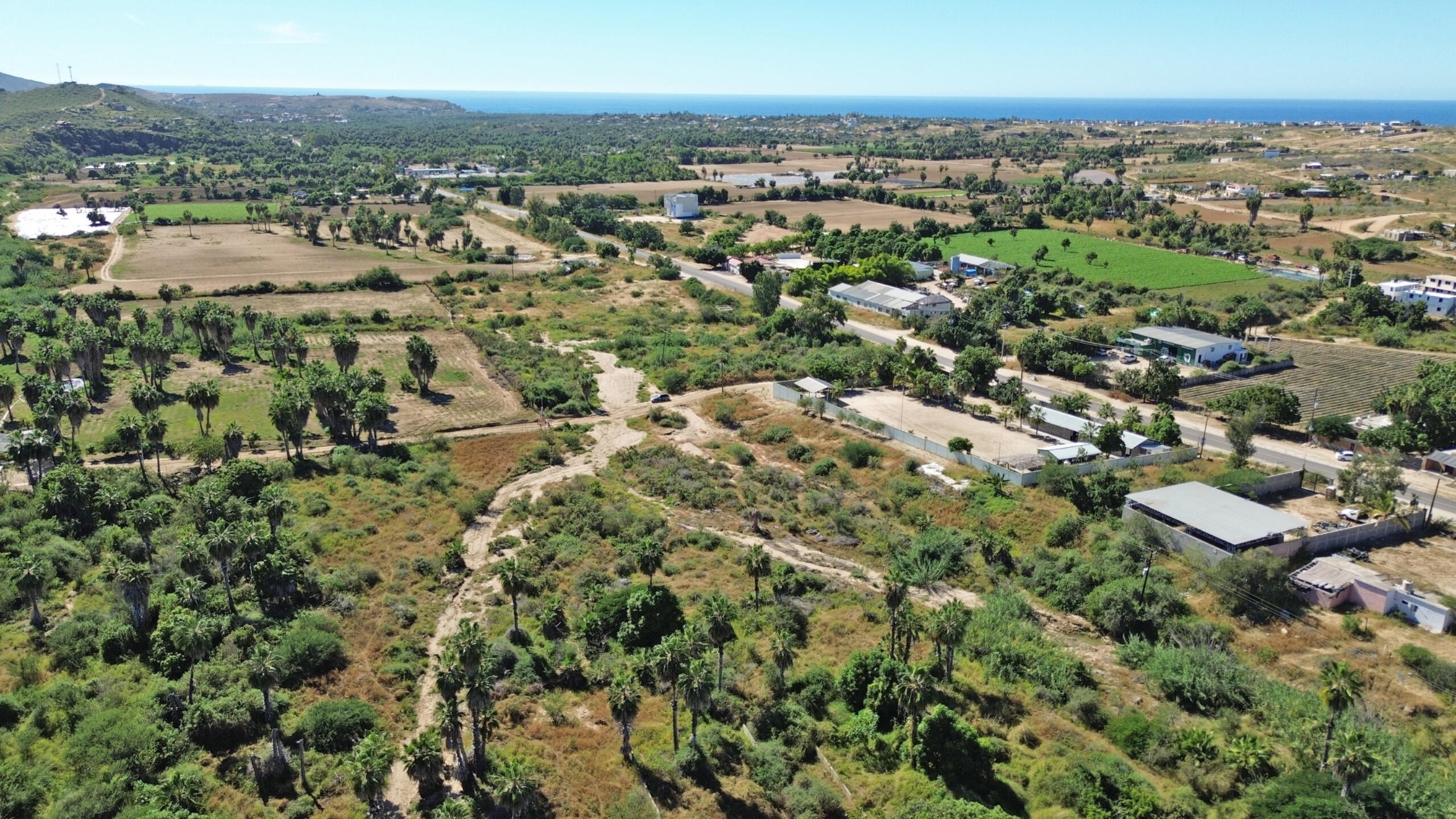 Carretera Todos Santos Hectare Huerta Lot Pacific BCS MLS #25-5748 47 MLS #25-5748 image #6
