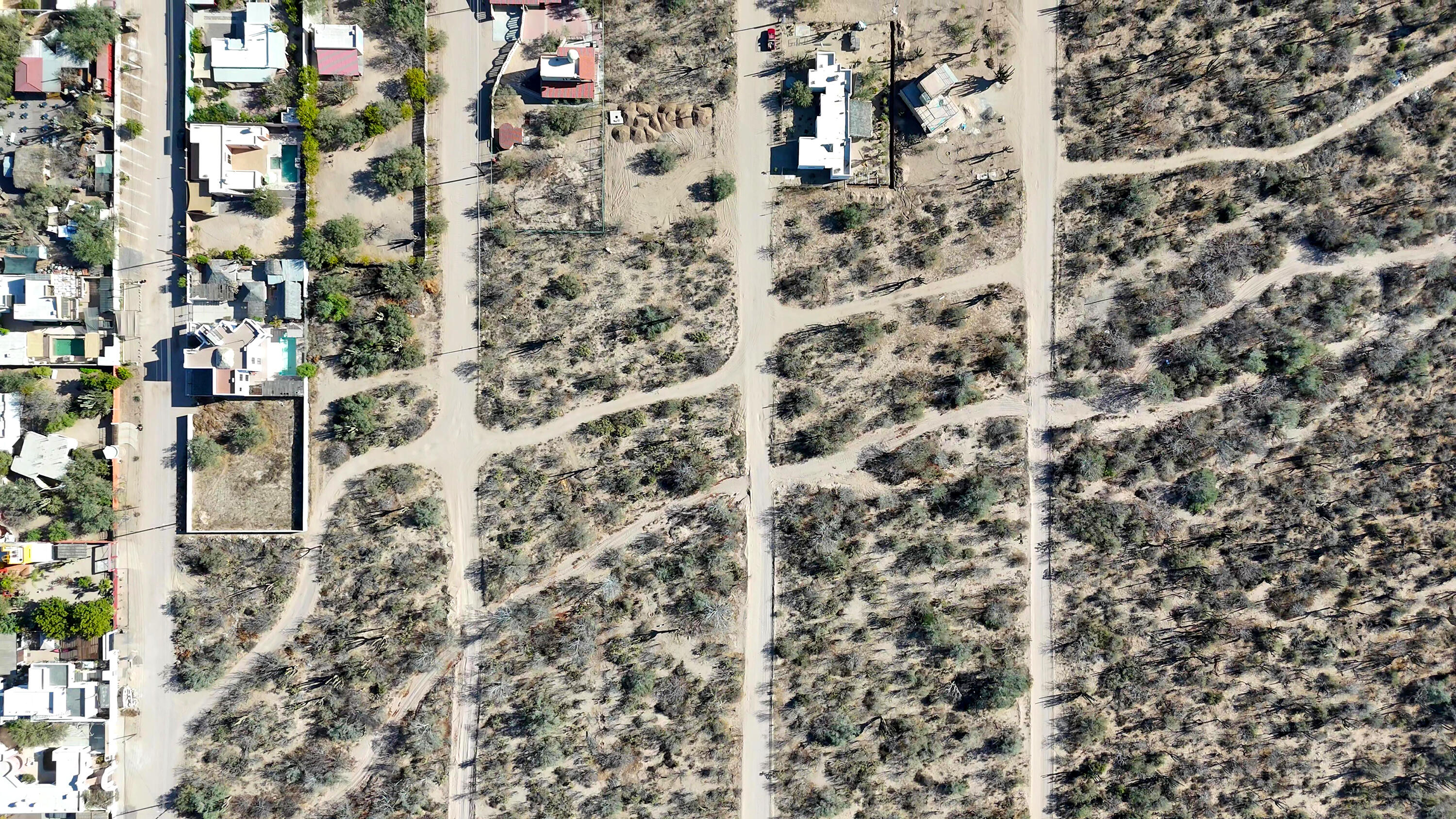 MLS #25-580 image #12