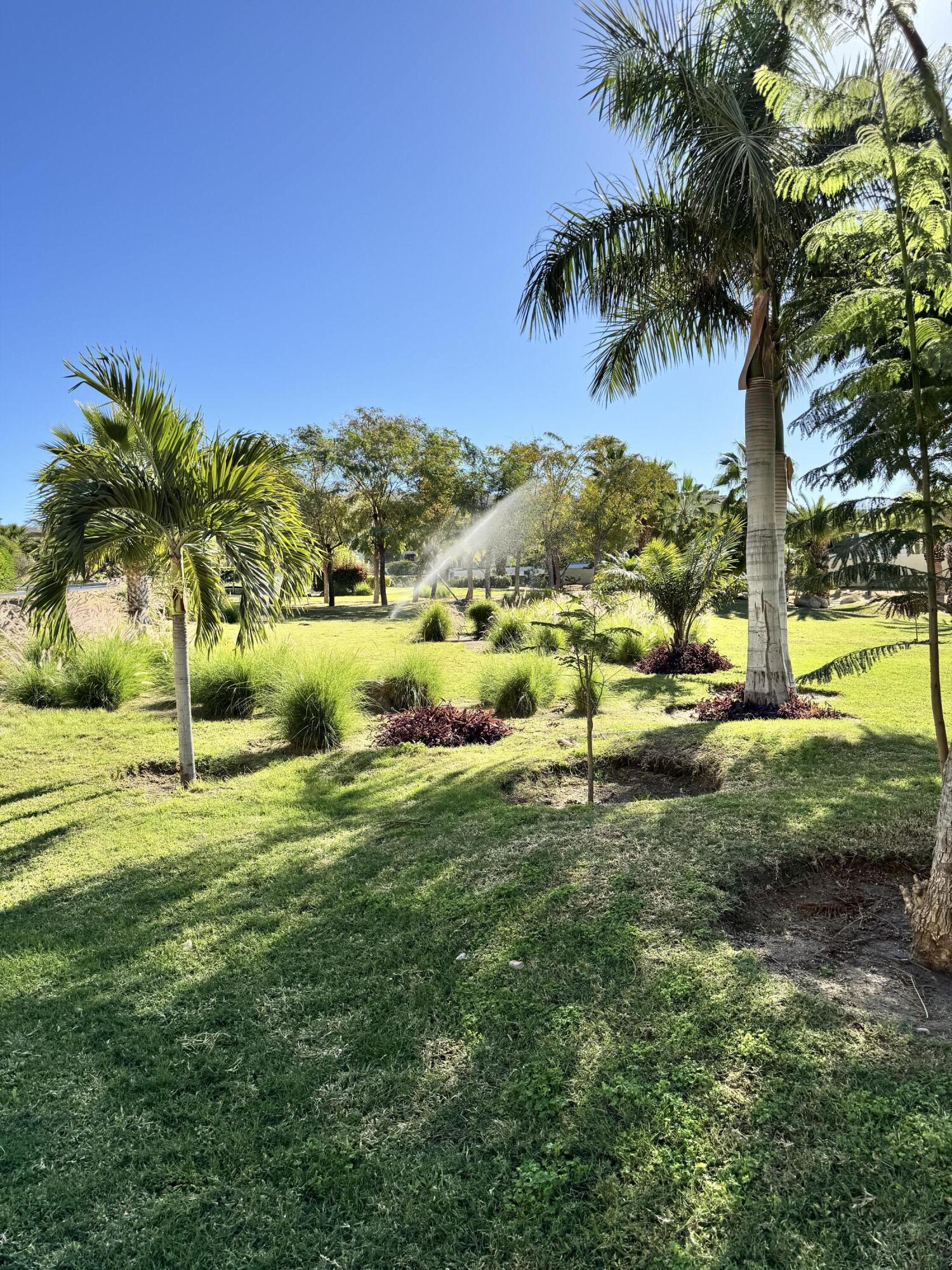 MLS #25-590 image #38