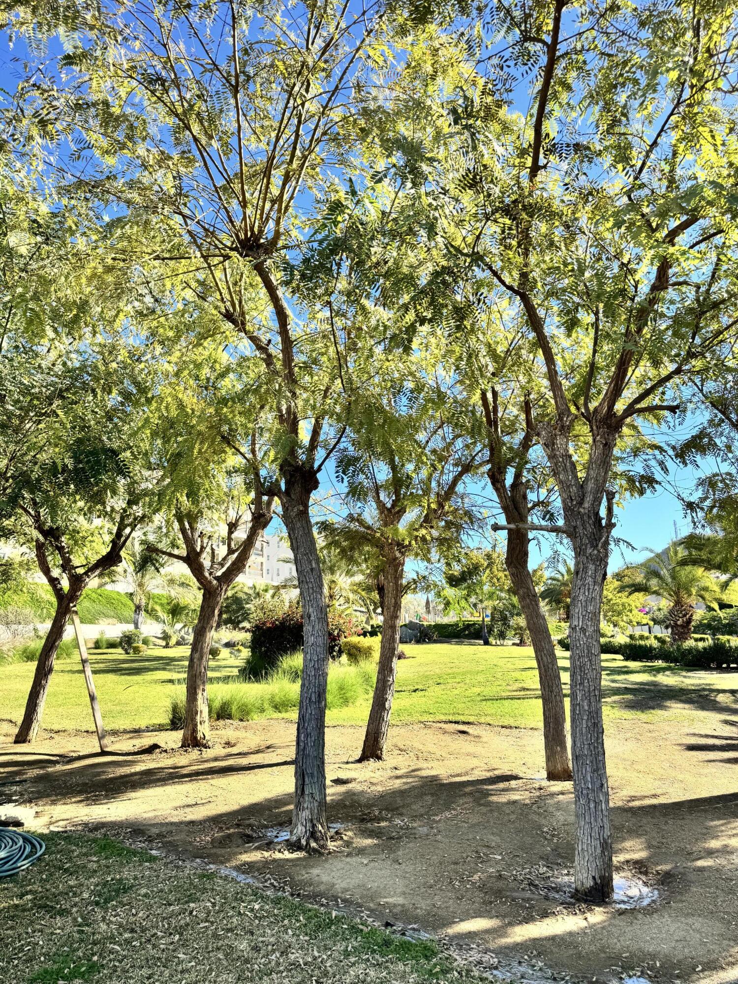 MLS #25-590 image #39