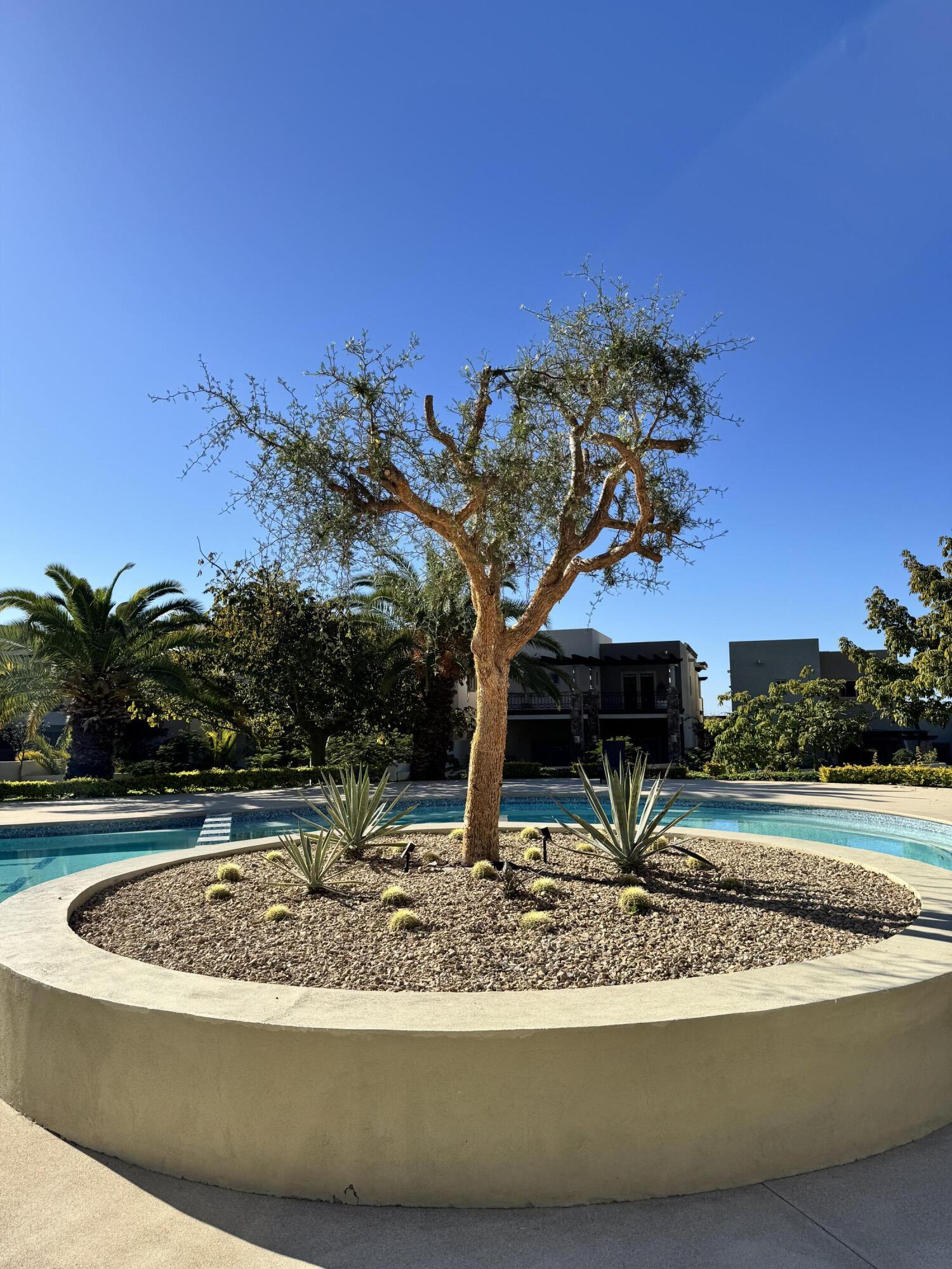 MLS #25-590 image #42