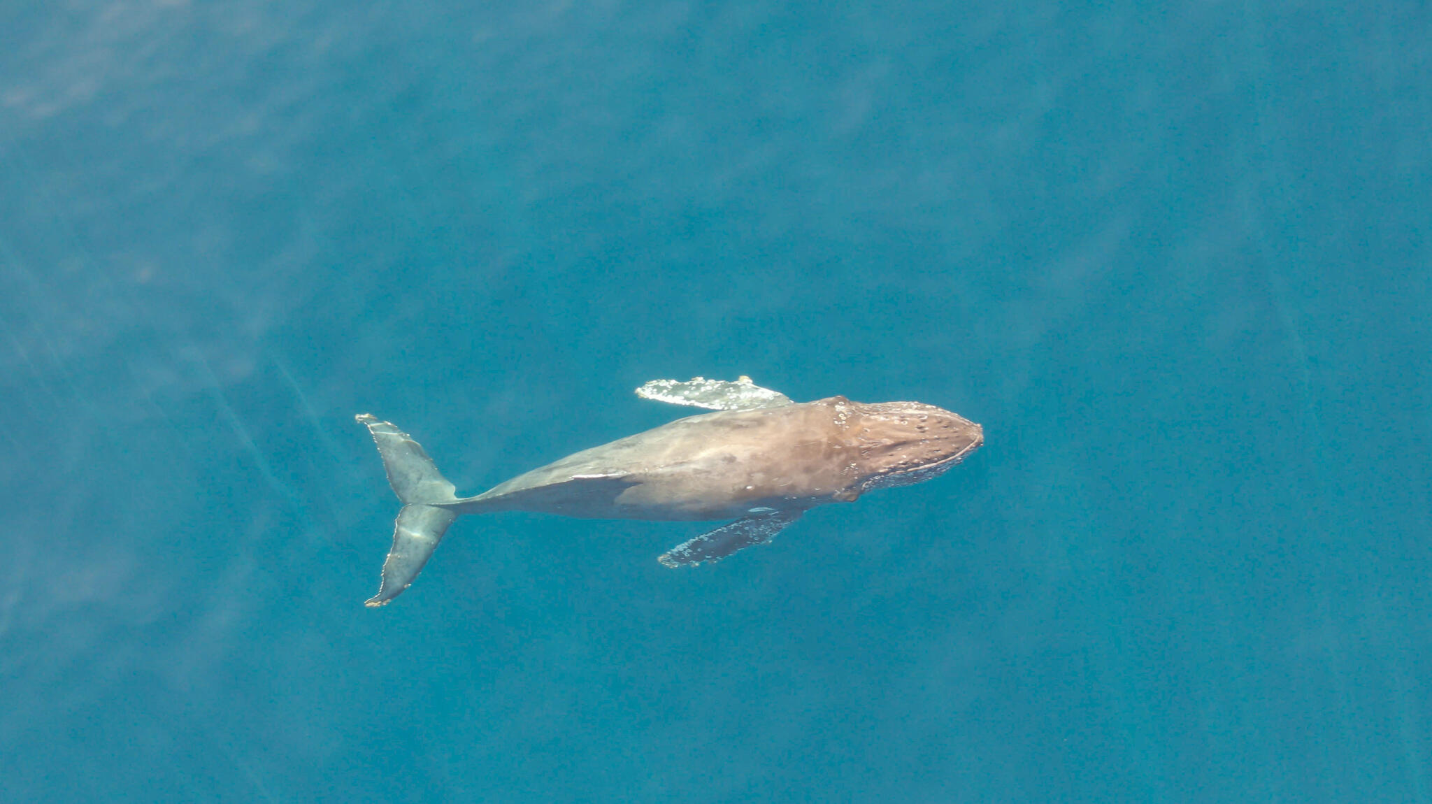 MLS #25-594 image #14