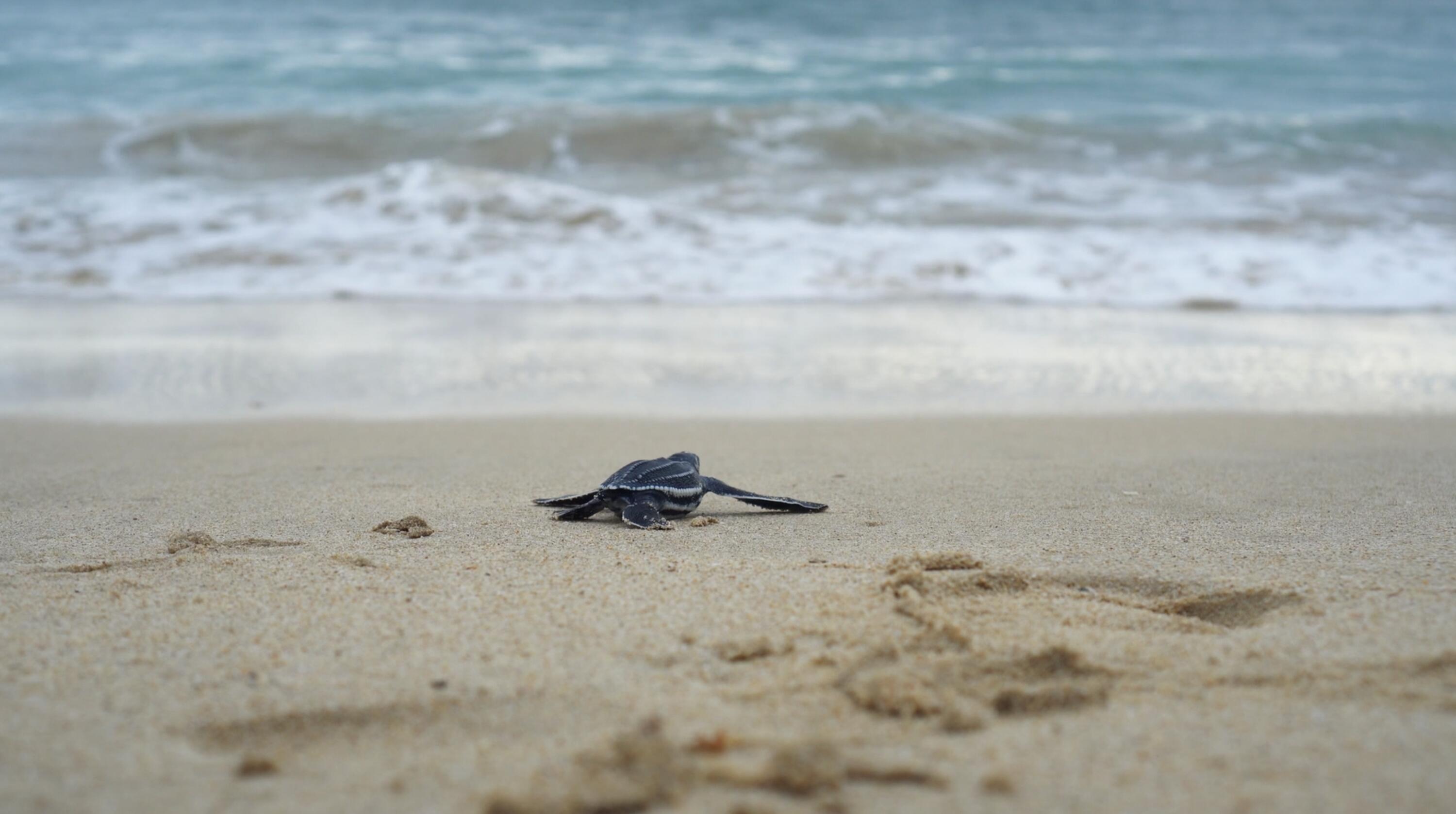 MLS #25-594 image #16