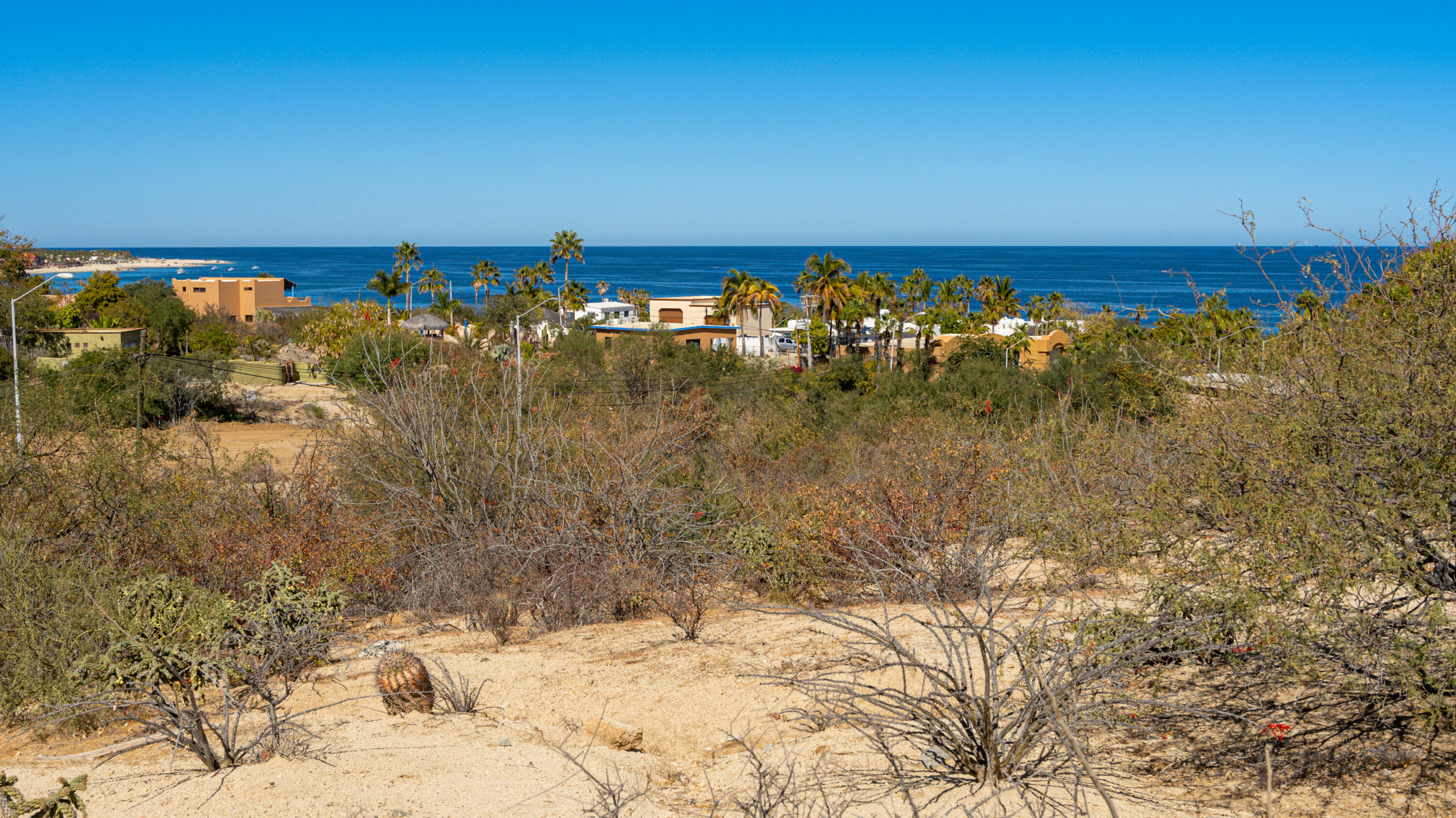 MLS #25-597 image #9