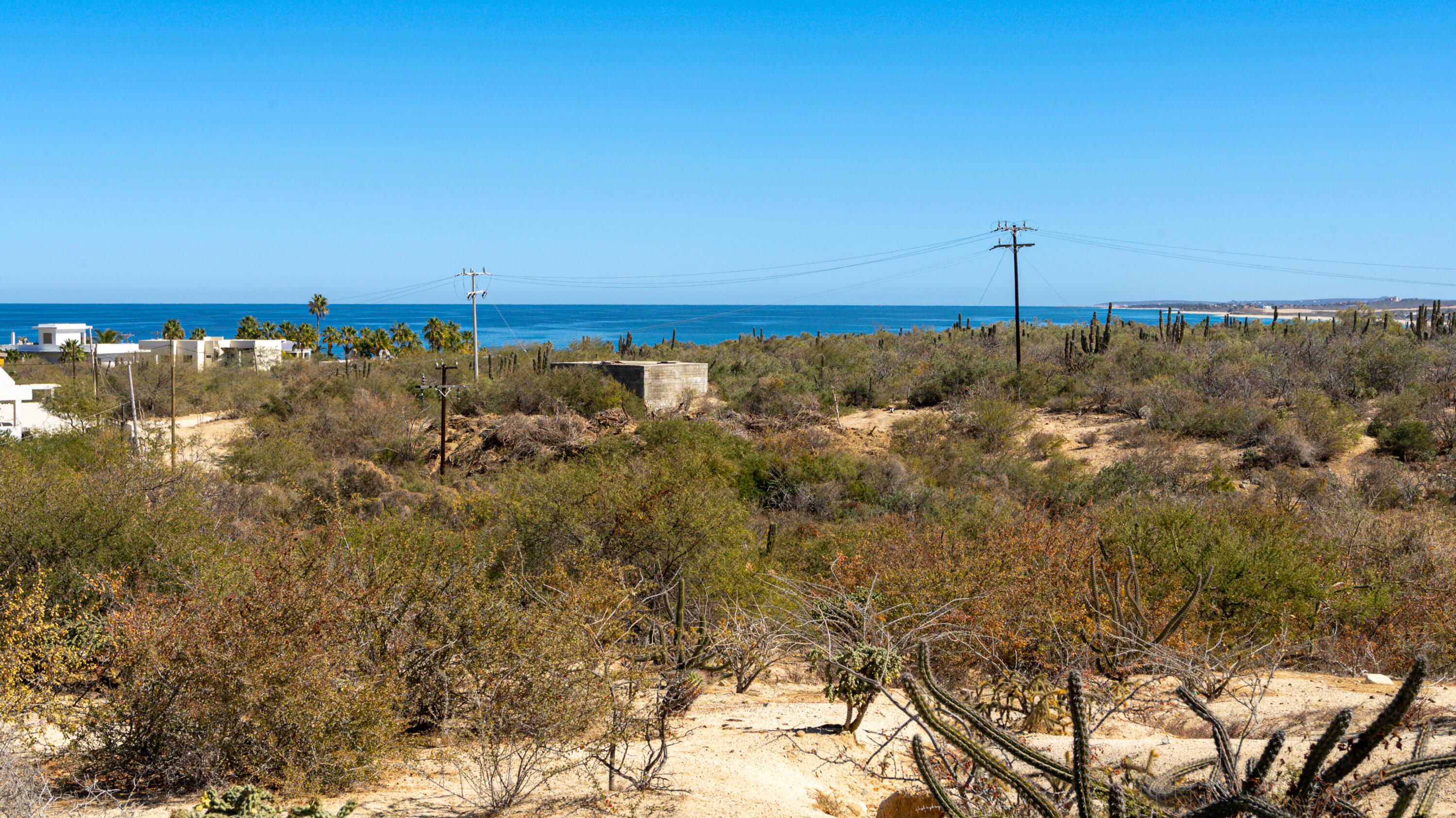 MLS #25-604 image #5