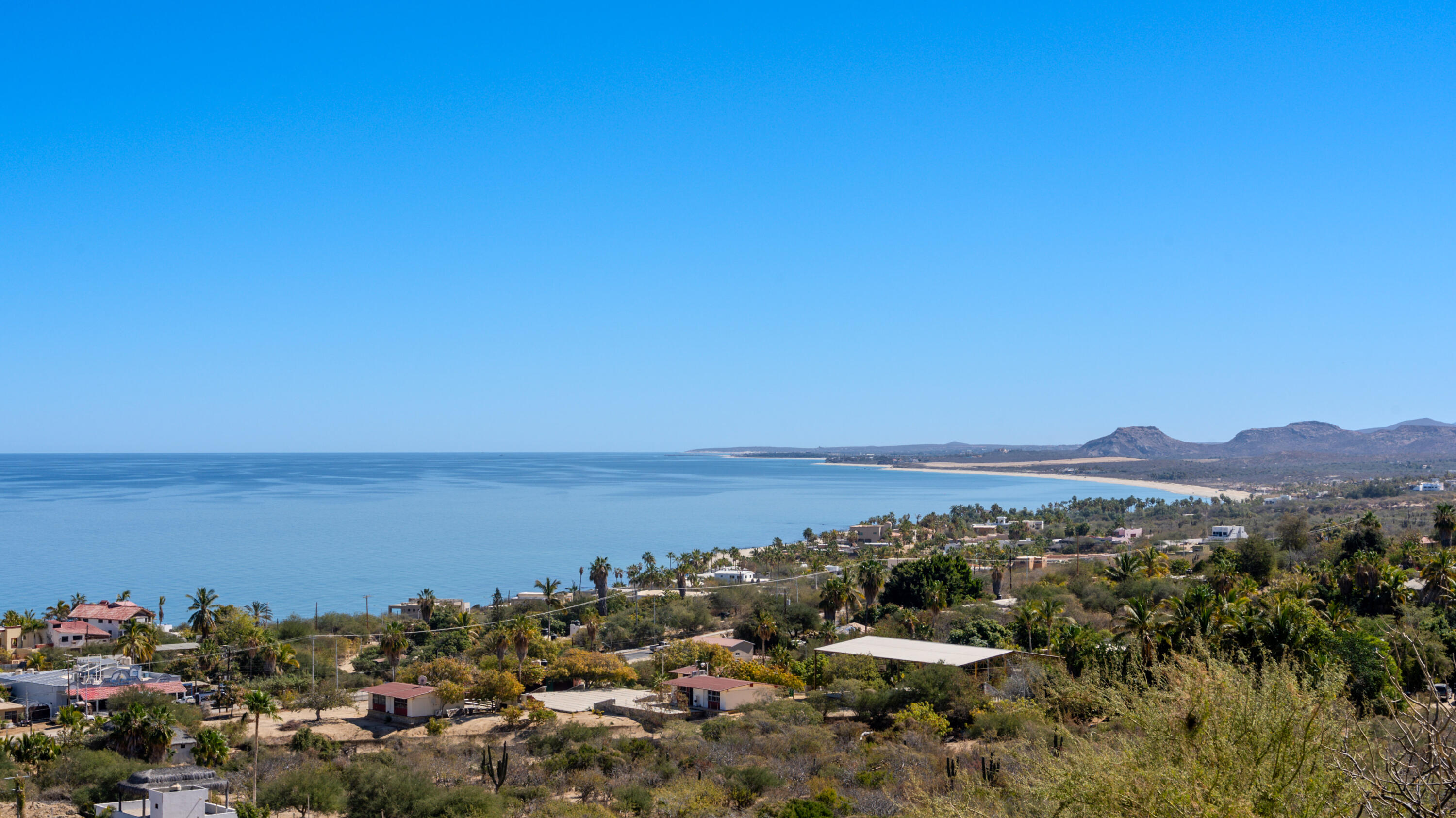 MLS #25-604 image #6