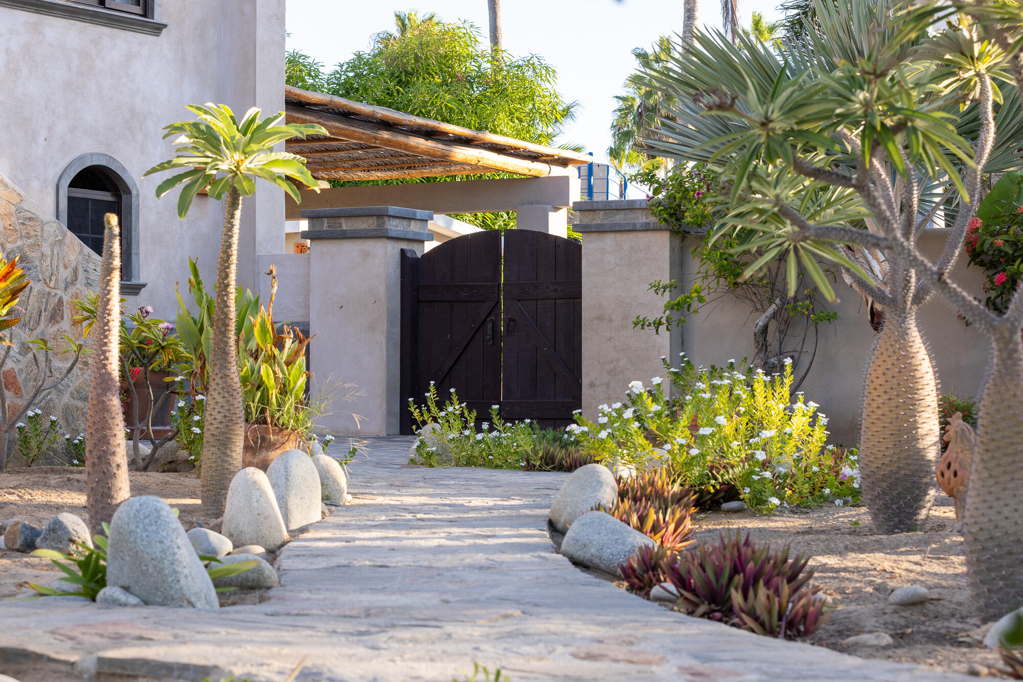 MLS #25-66 image #22