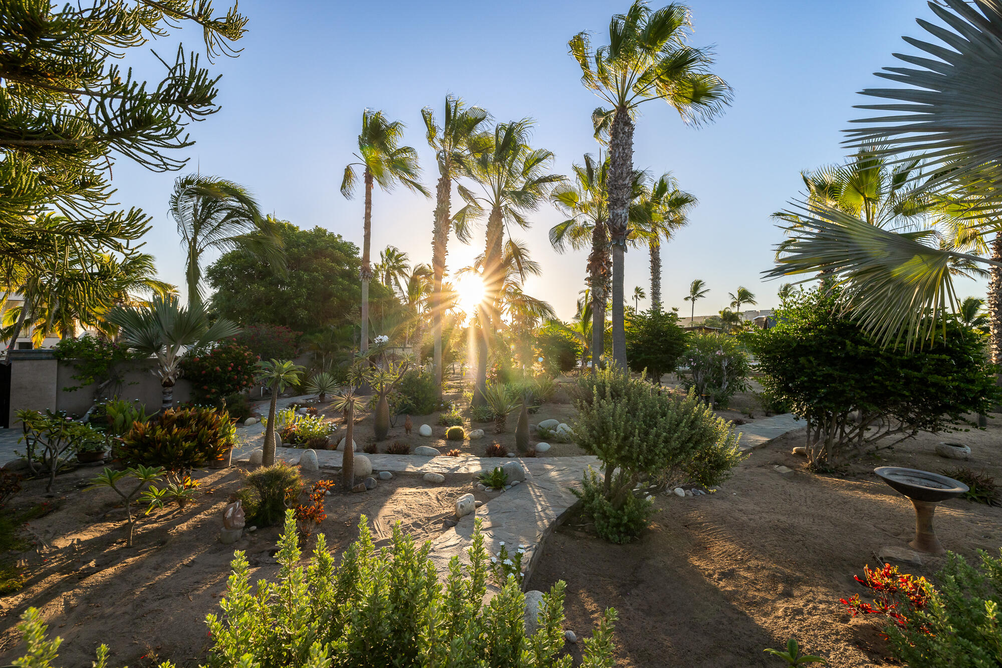 MLS #25-66 image #58