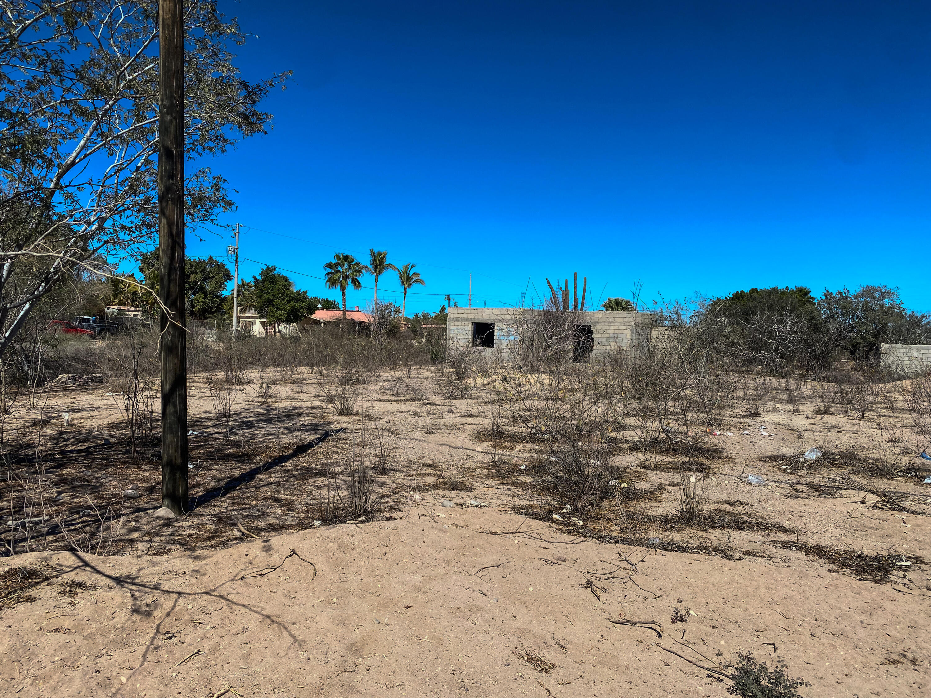 MLS #25-664 image #1