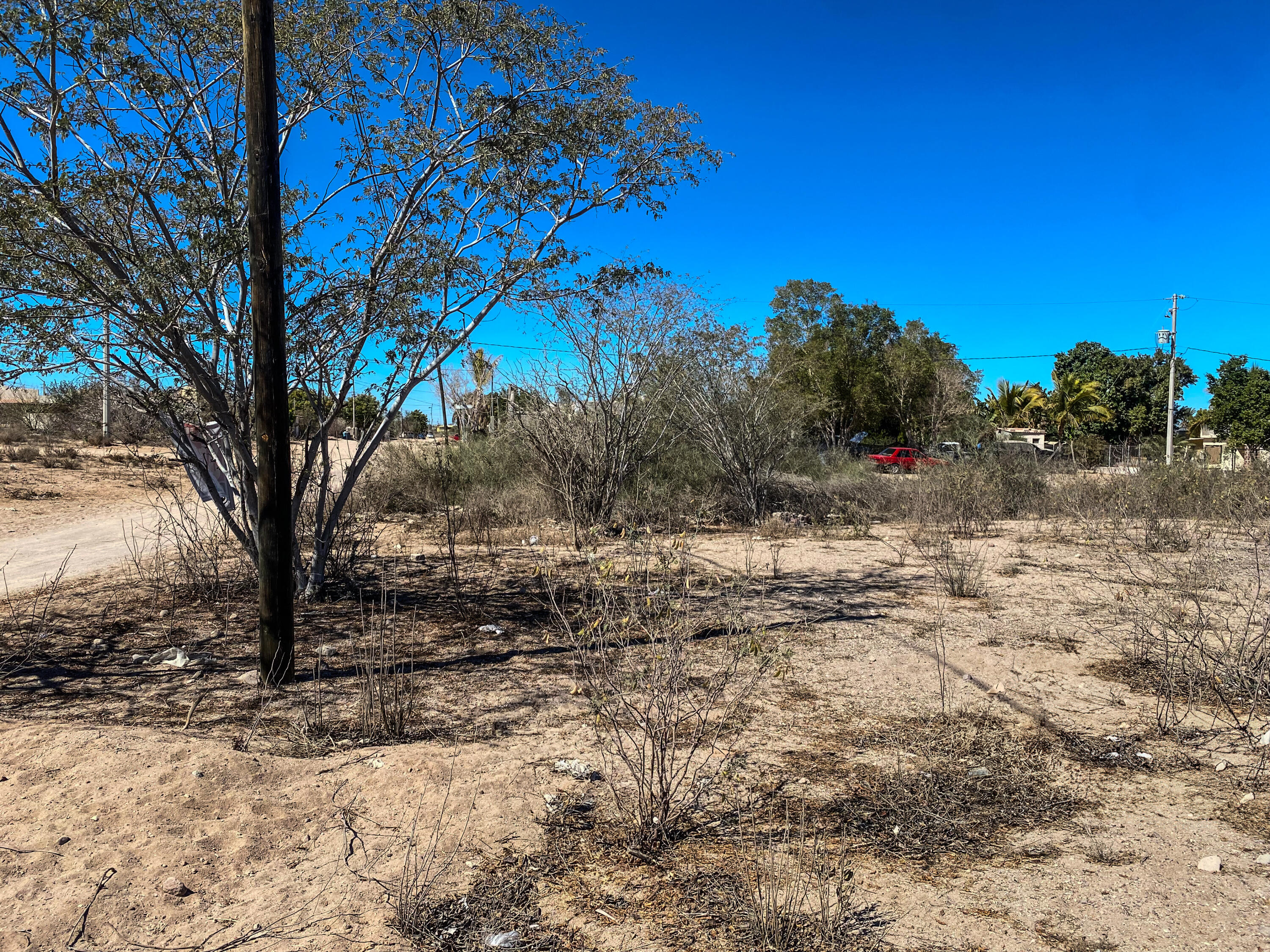 MLS #25-664 image #2