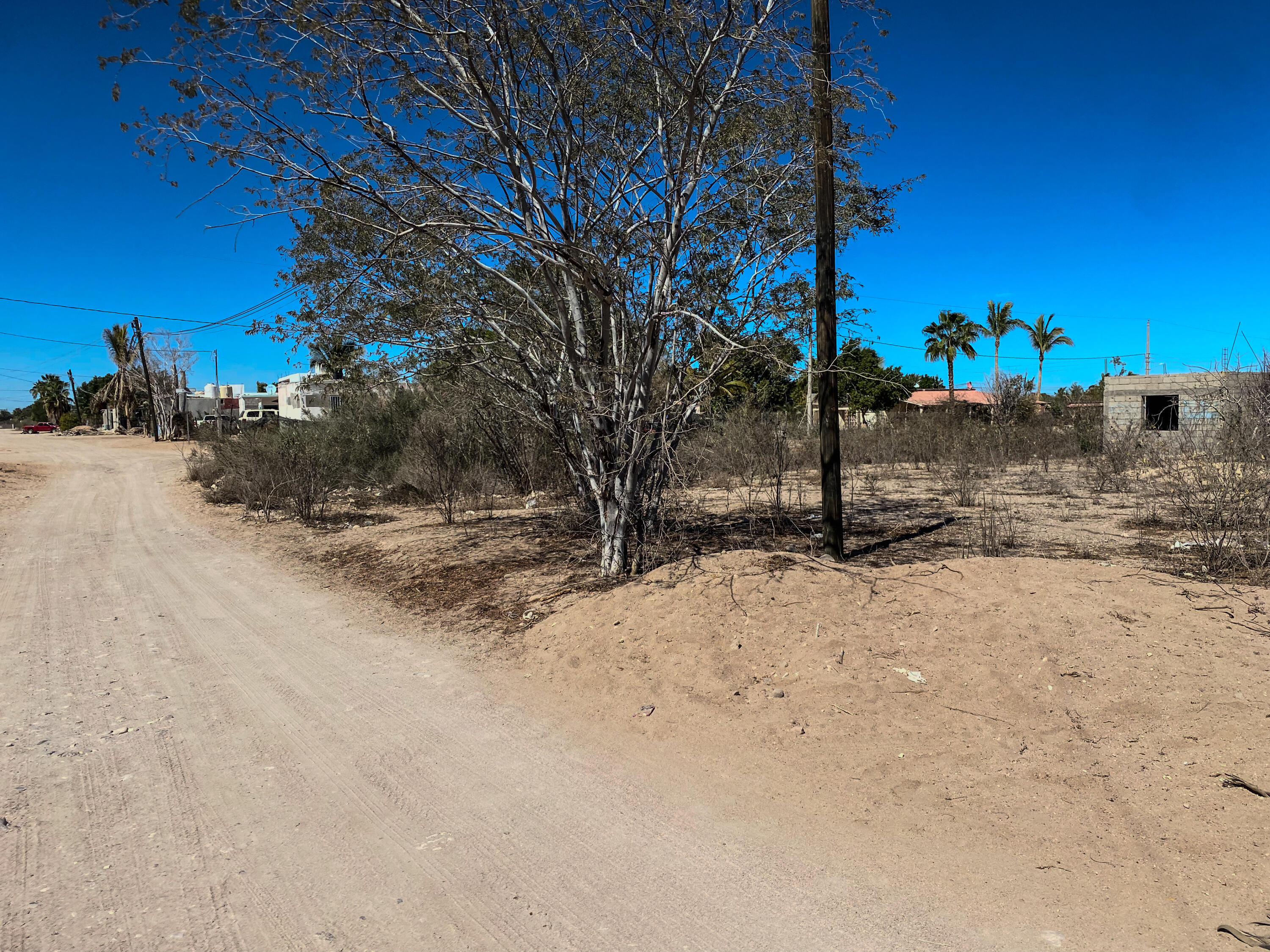 MLS #25-664 image #3