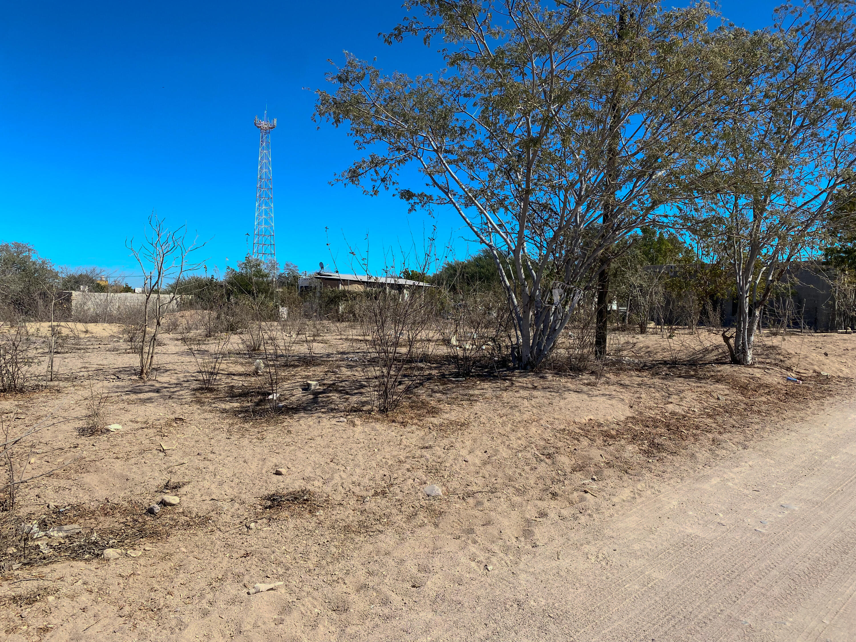 MLS #25-664 image #4