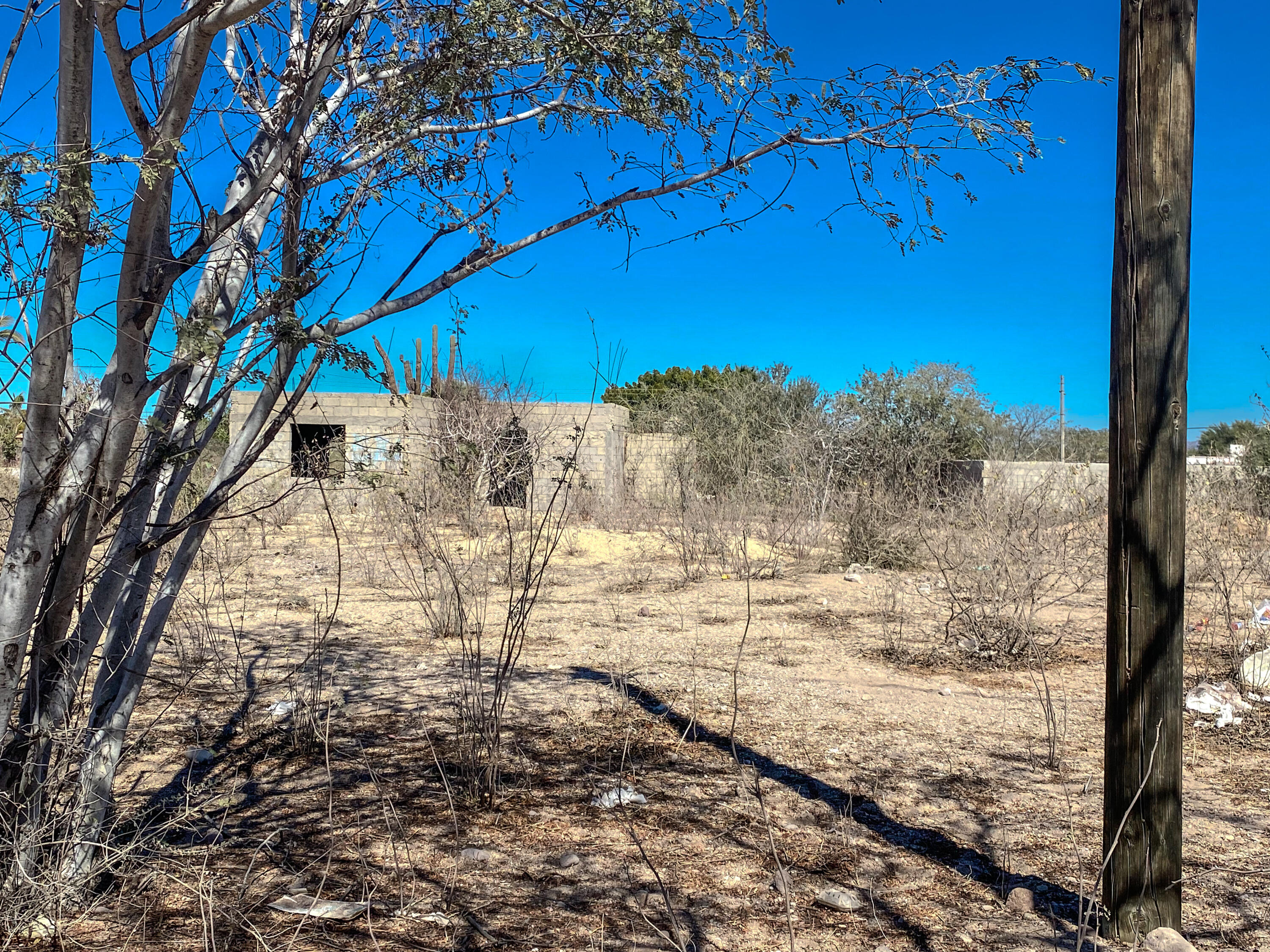 MLS #25-664 image #5