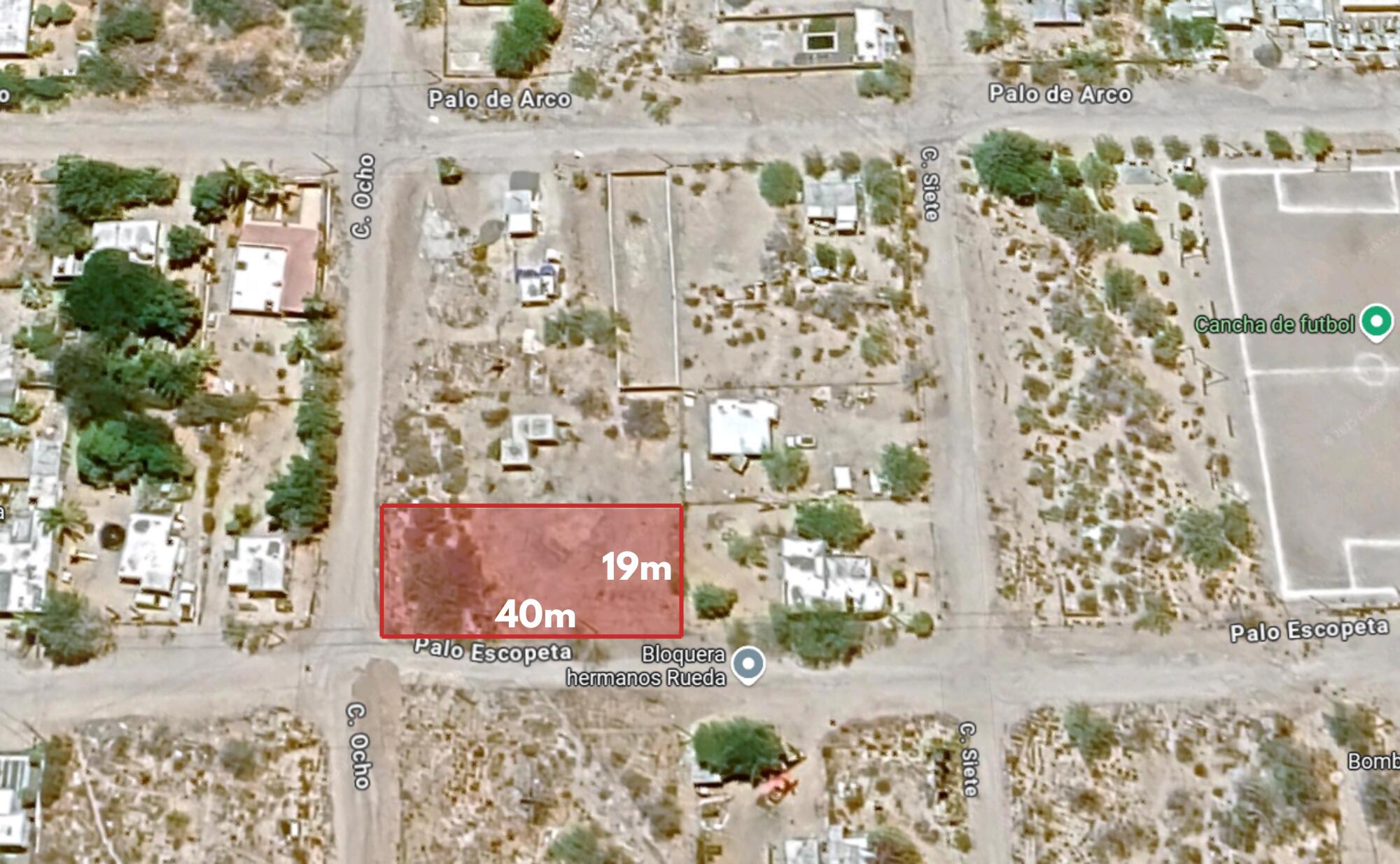 MLS #25-664 image #6