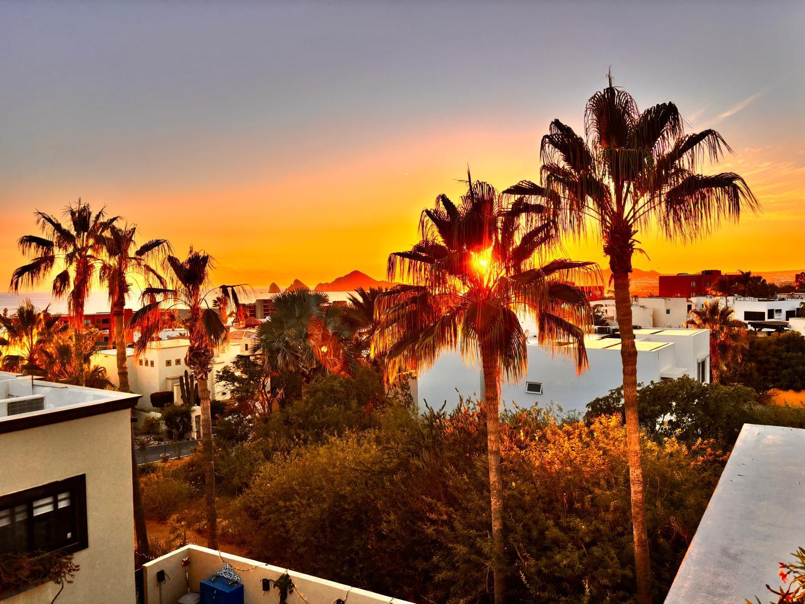 MLS #25-690 image #28