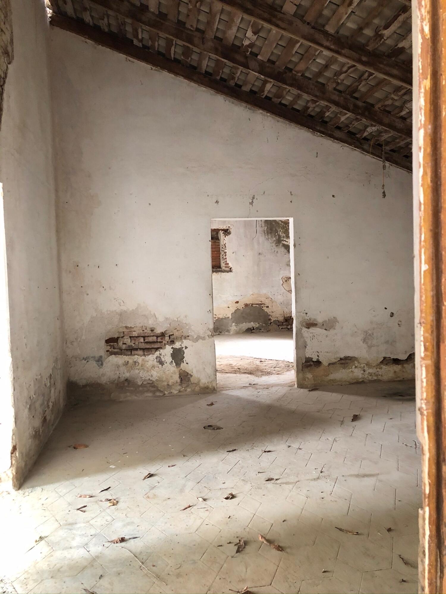 MLS #25-693 image #5