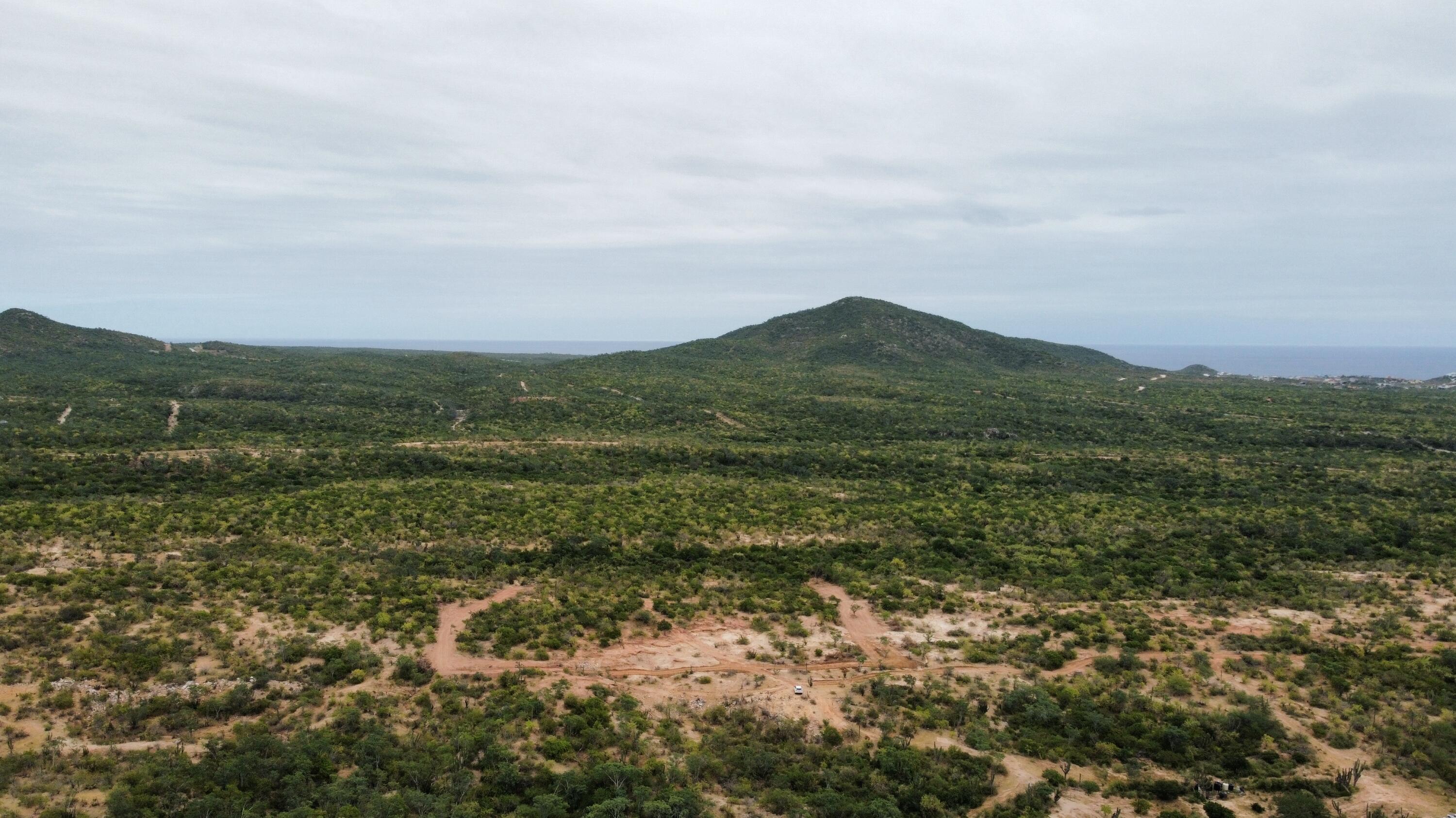 MLS #25-718 image #0