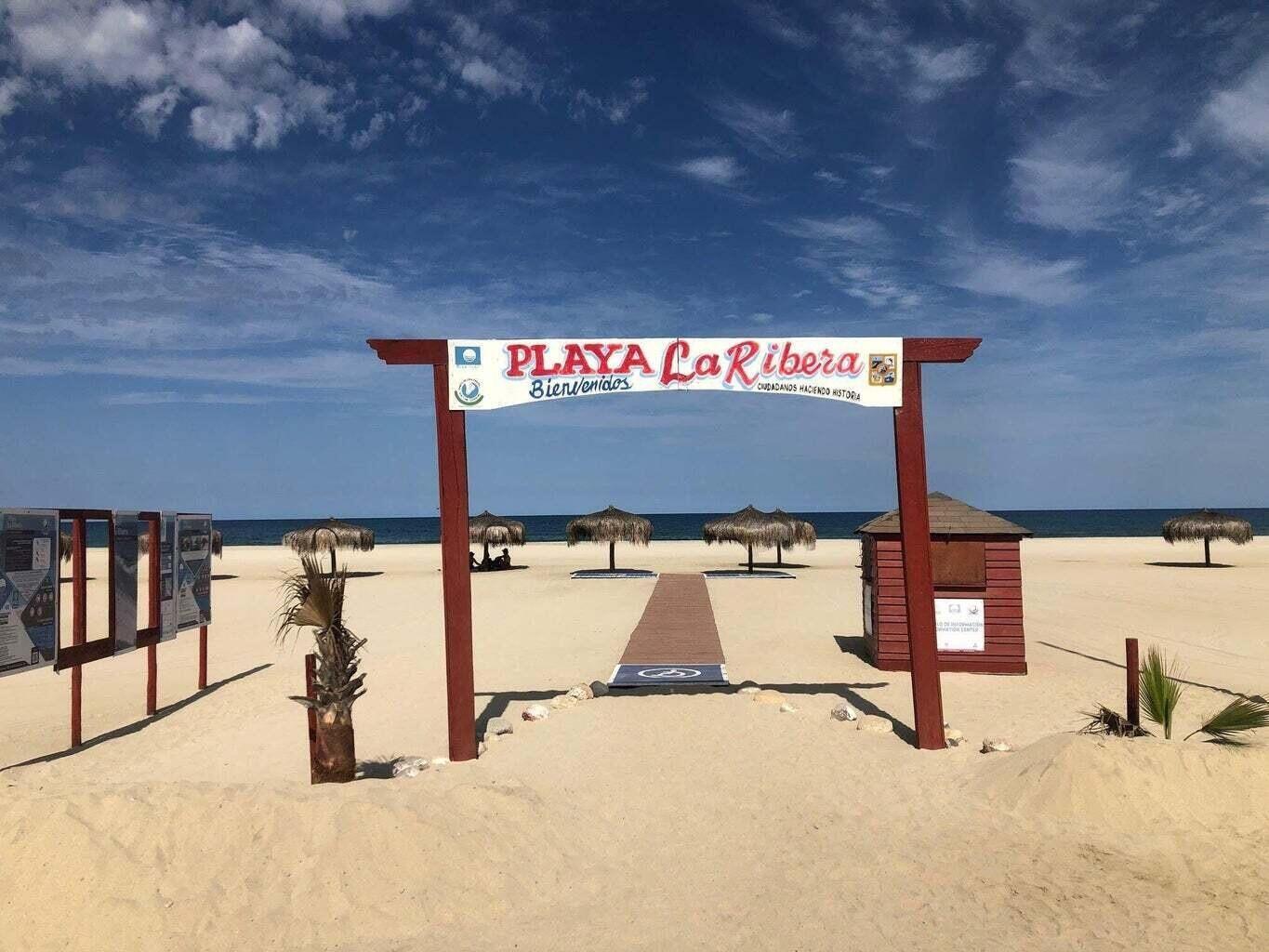 MLS #25-744 image #12