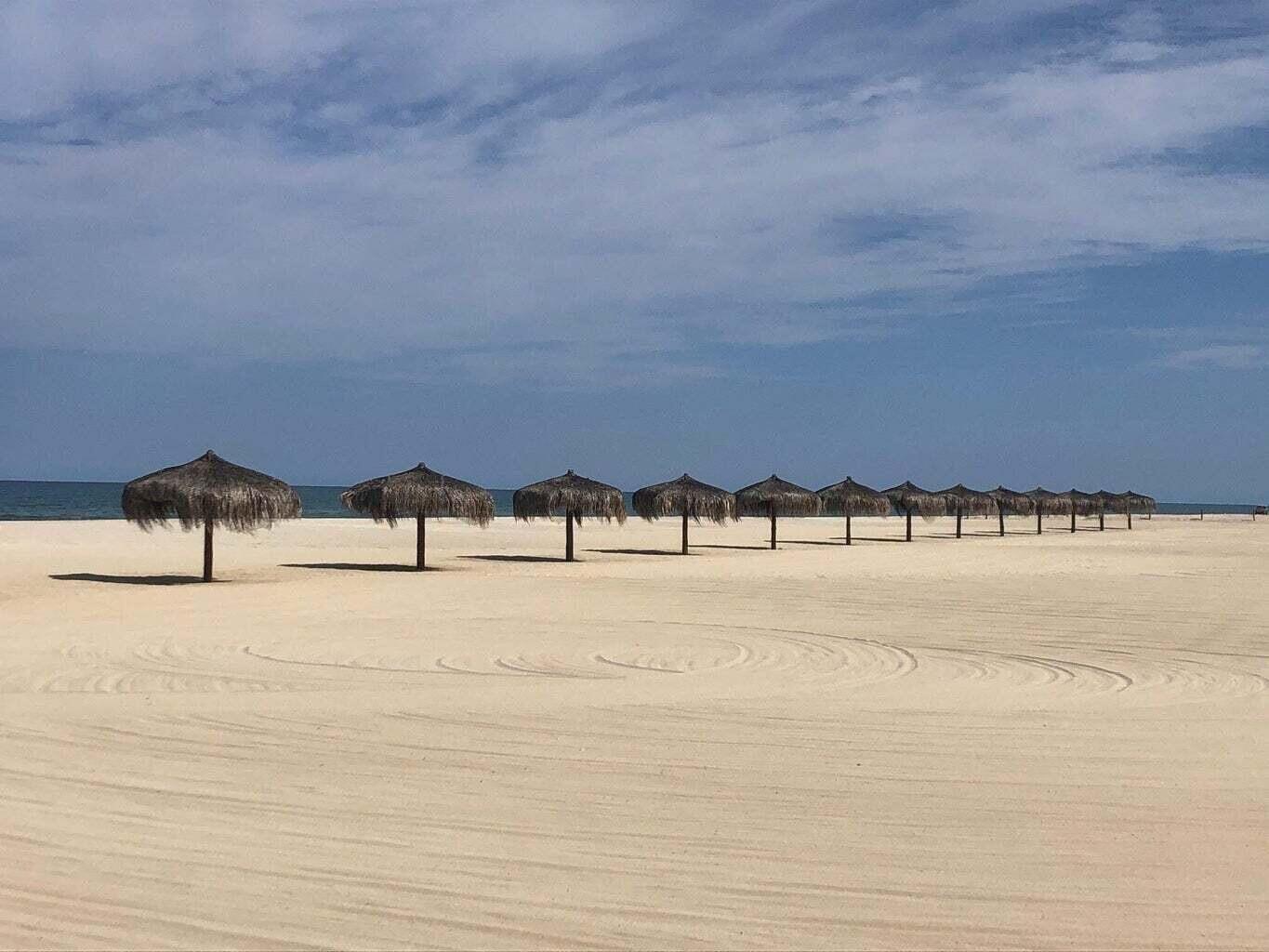 MLS #25-744 image #14