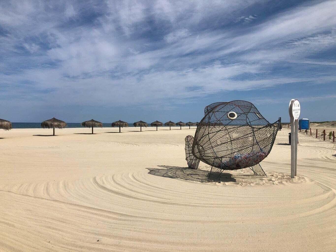 MLS #25-744 image #15