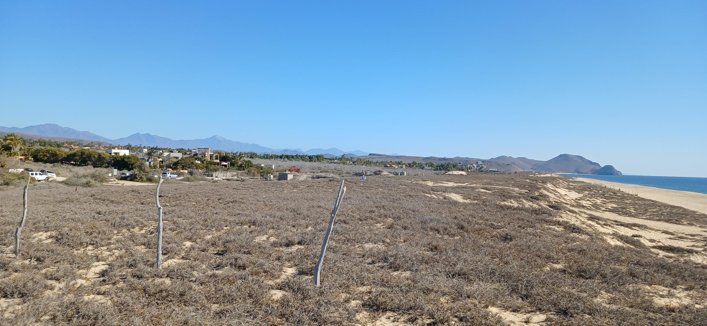 MLS #25-768 image #8