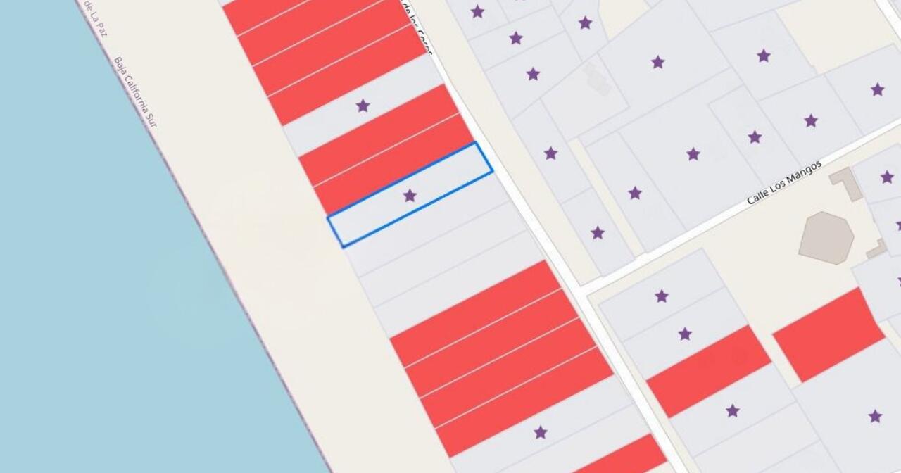 MLS #25-768 image #9