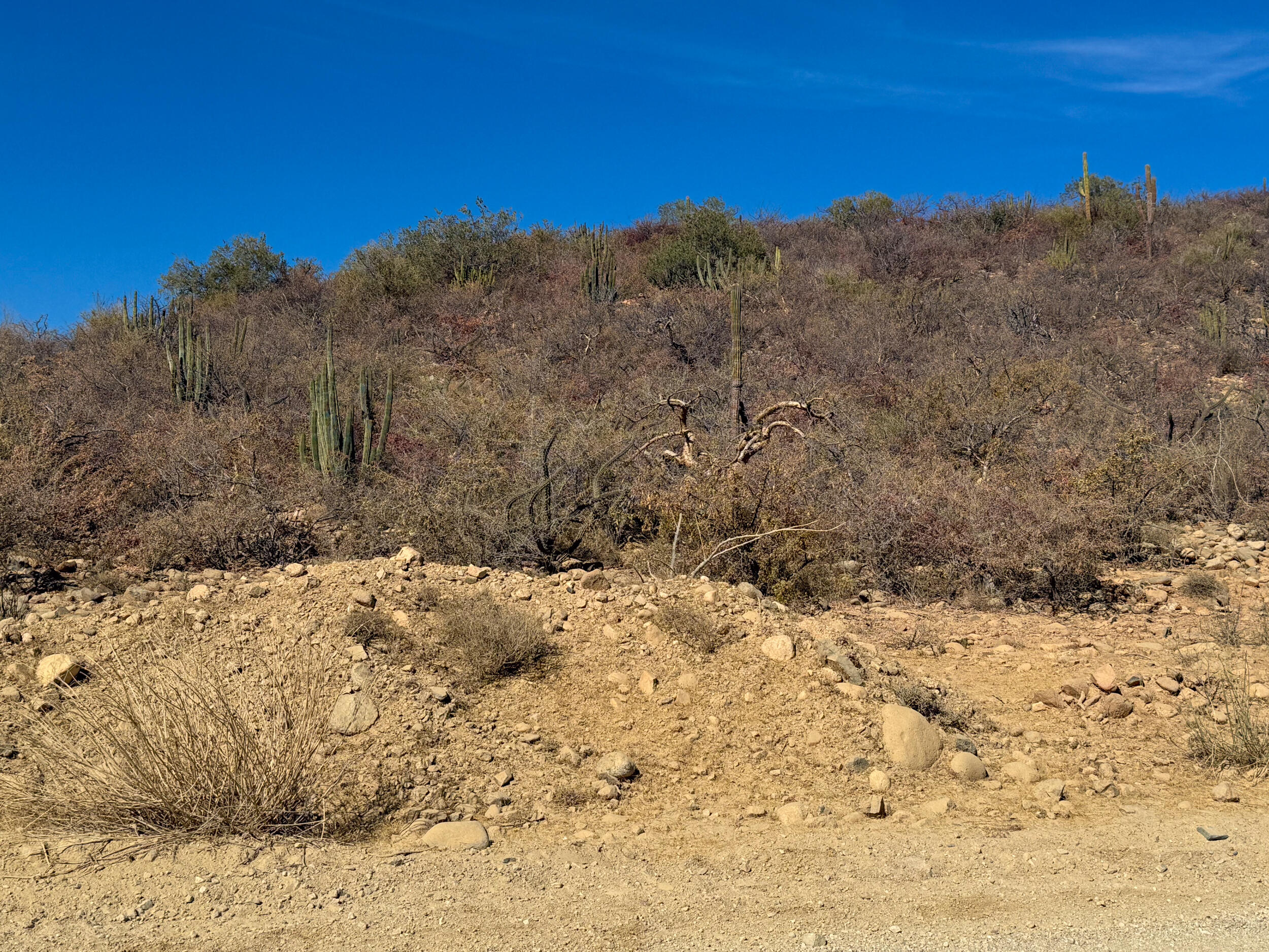 MLS #25-787 image #2