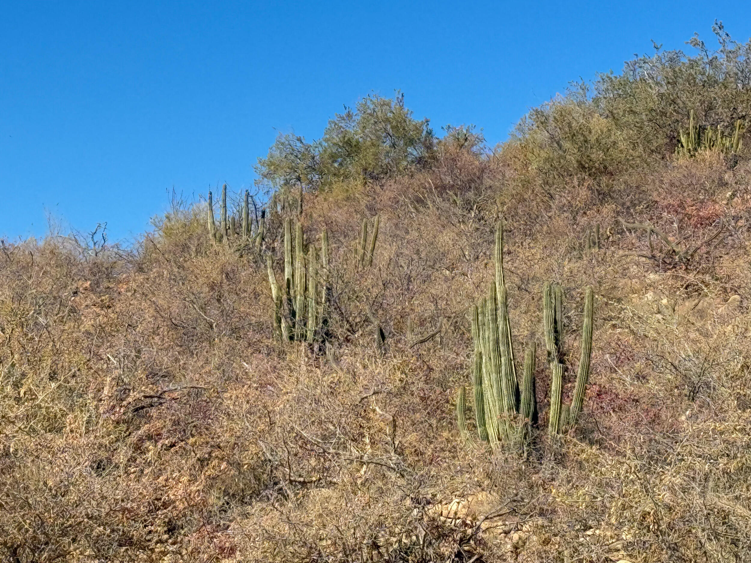 MLS #25-787 image #3