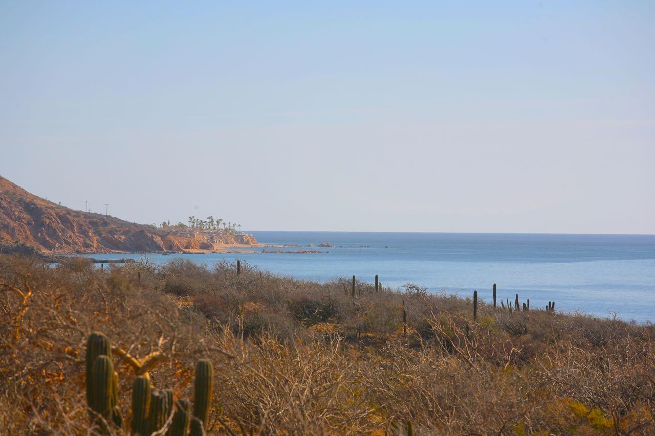 MLS #25-787 image #4