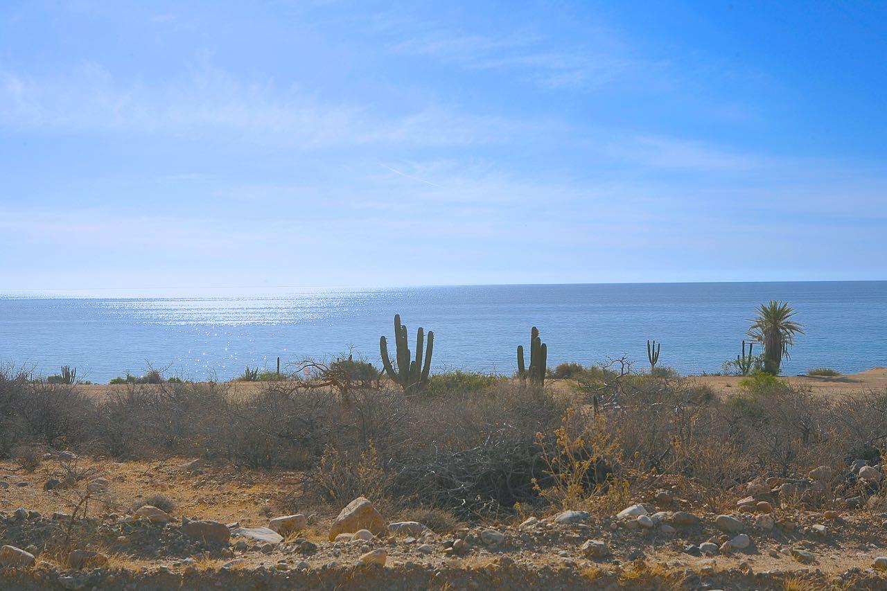 MLS #25-787 image #5