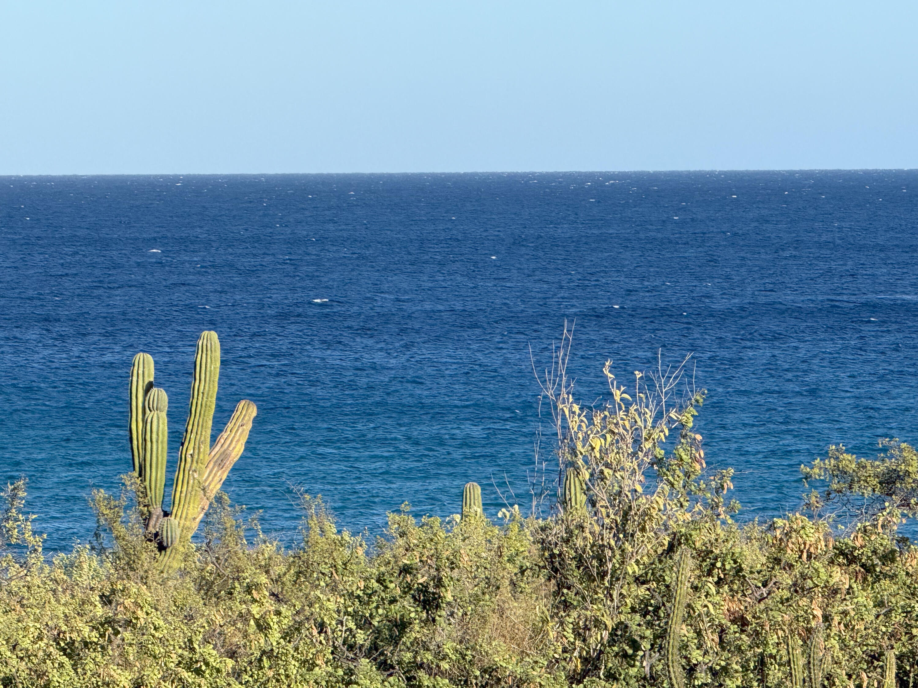 MLS #25-787 image #6