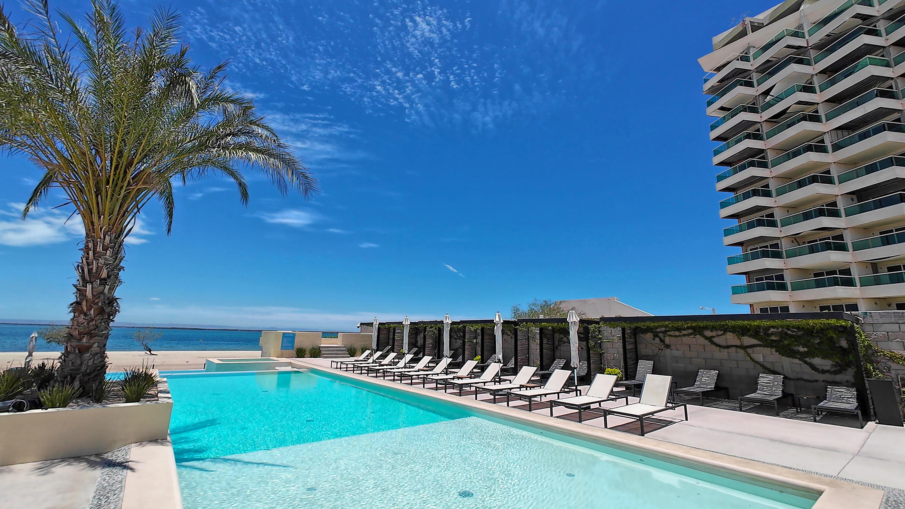 MLS #25-801 image #5