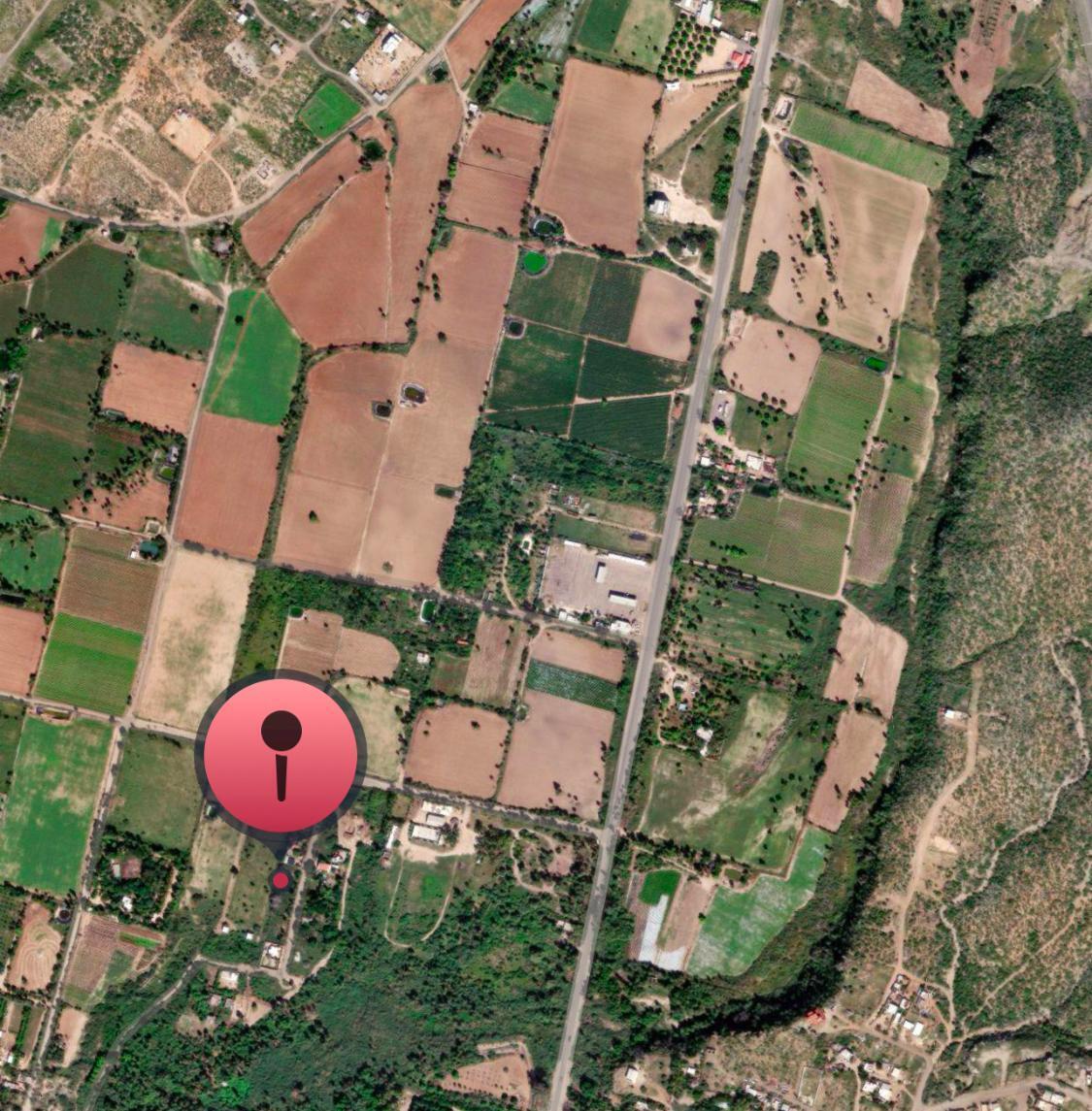 MLS #25-810 image #12