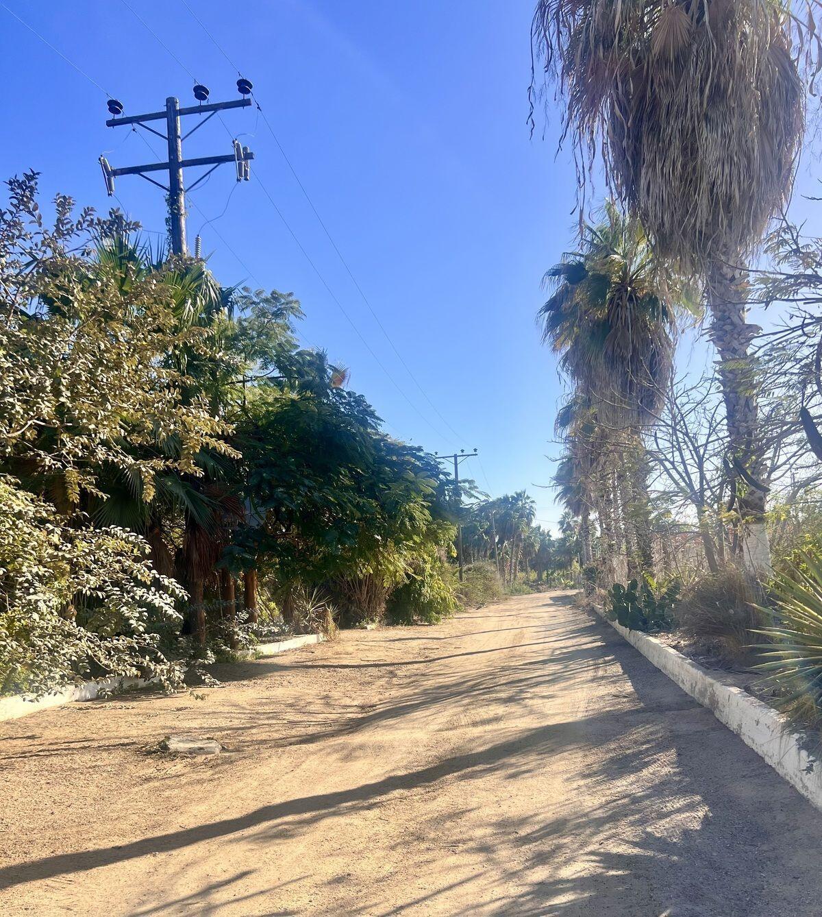 Paseo de Las Flores Terreno Flores Todos Santos La Paz BCS MLS #25-810 43 MLS #25-810 image #2