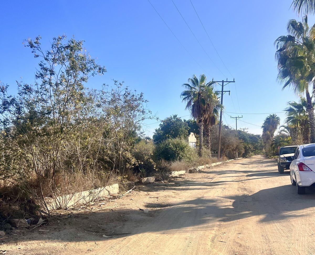 Paseo de Las Flores Terreno Flores Todos Santos La Paz BCS MLS #25-810 44 MLS #25-810 image #3