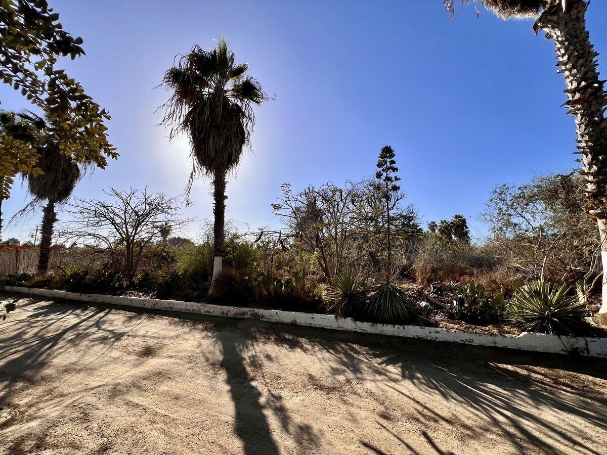 Paseo de Las Flores Terreno Flores Todos Santos La Paz BCS MLS #25-810 45 MLS #25-810 image #4