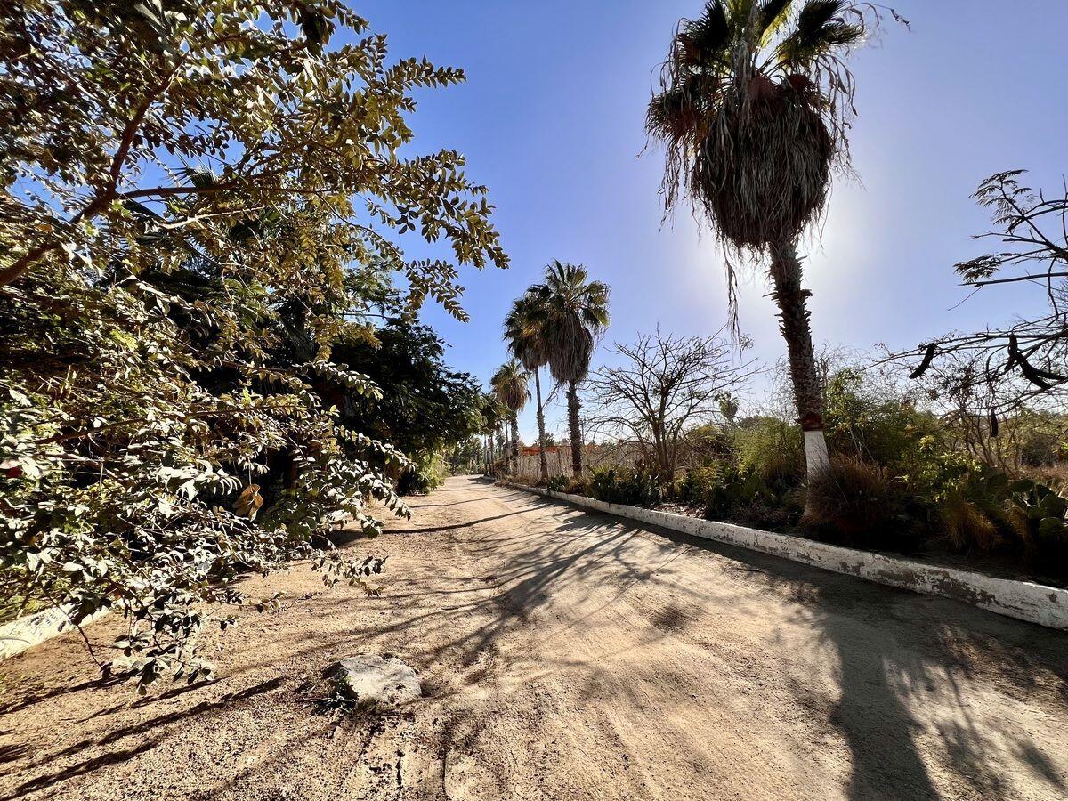 Paseo de Las Flores Terreno Flores Todos Santos La Paz BCS MLS #25-810 46 MLS #25-810 image #5