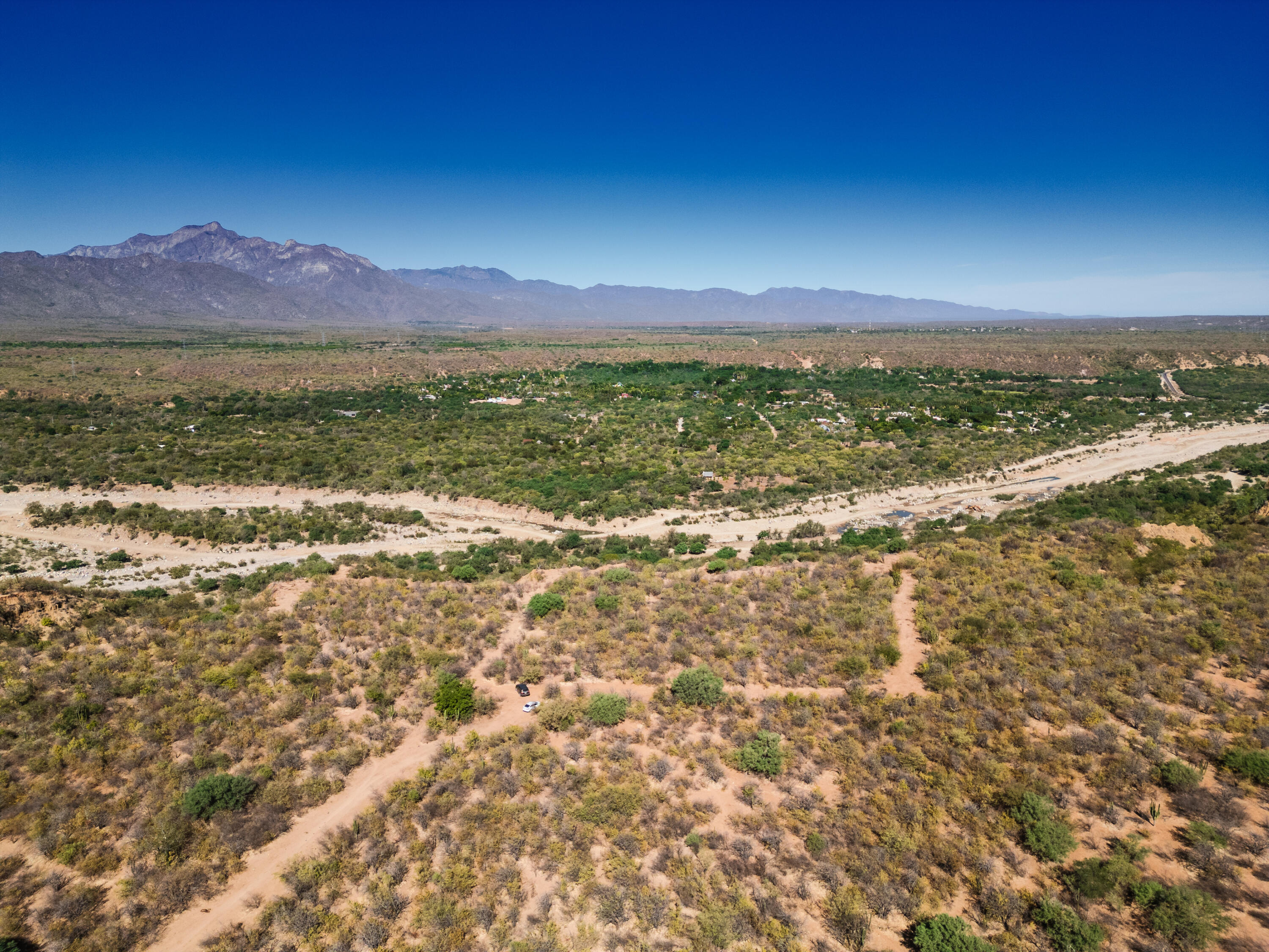MLS #25-829 img 3