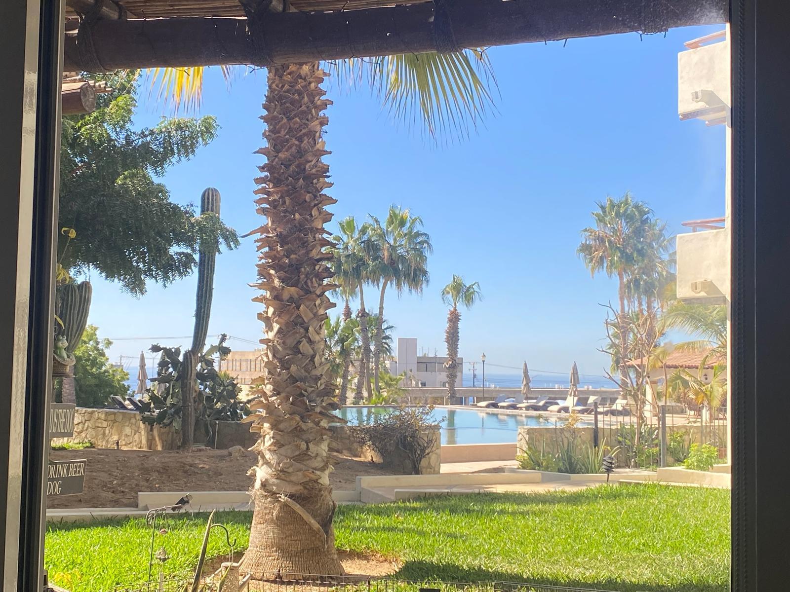 MLS #25-832 image #6