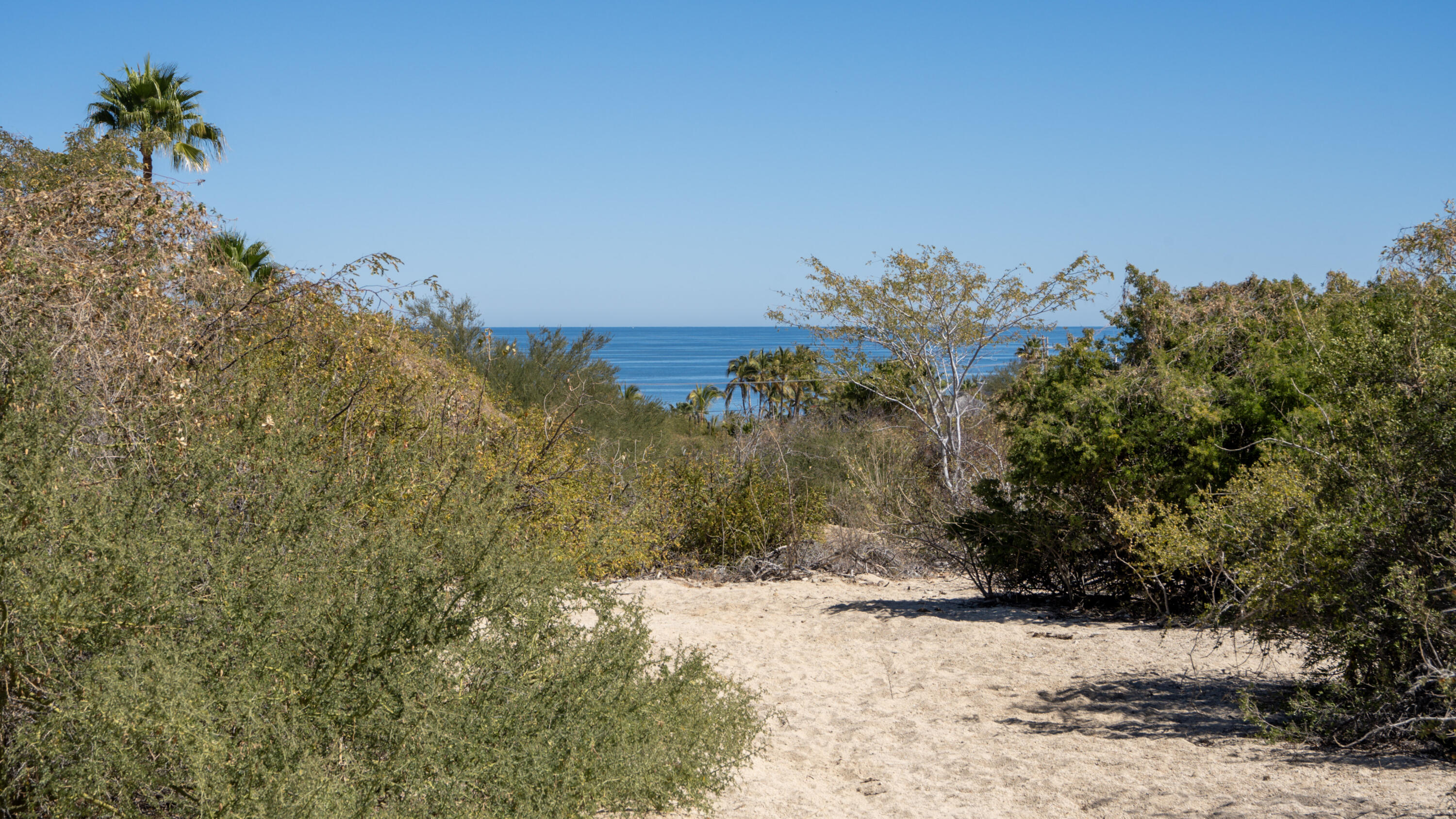 MLS #25-842 image #0