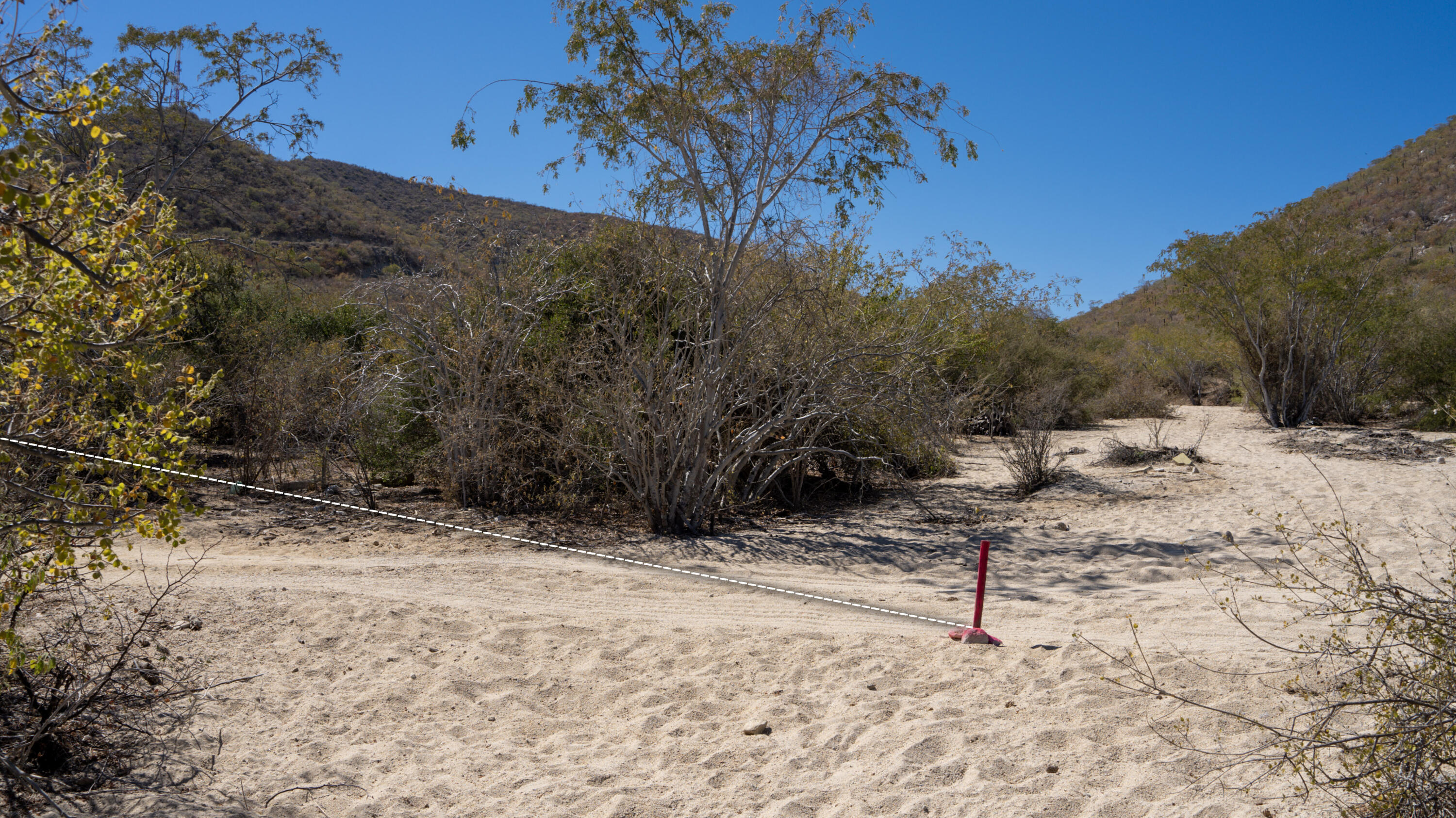 MLS #25-842 image #1