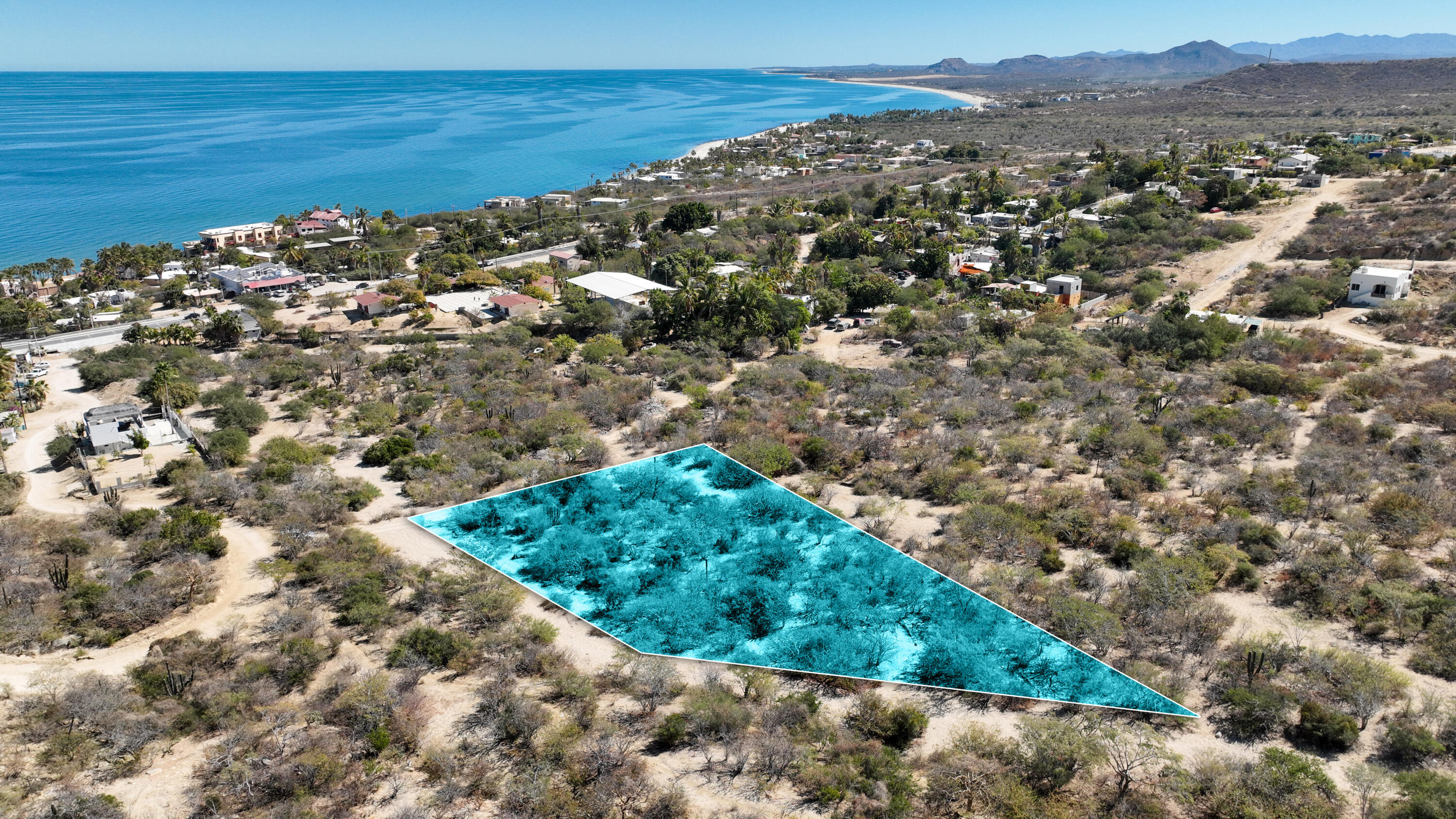 MLS #25-842 image #6