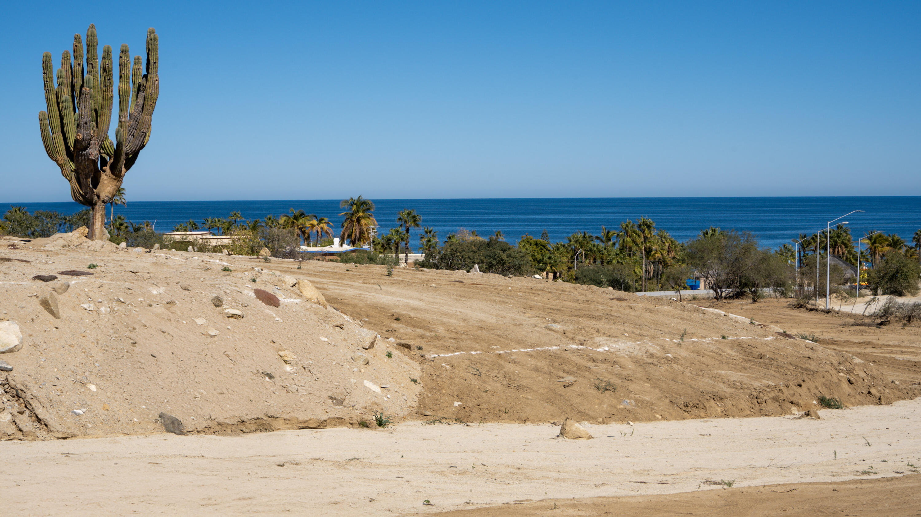 MLS #25-848 image #2