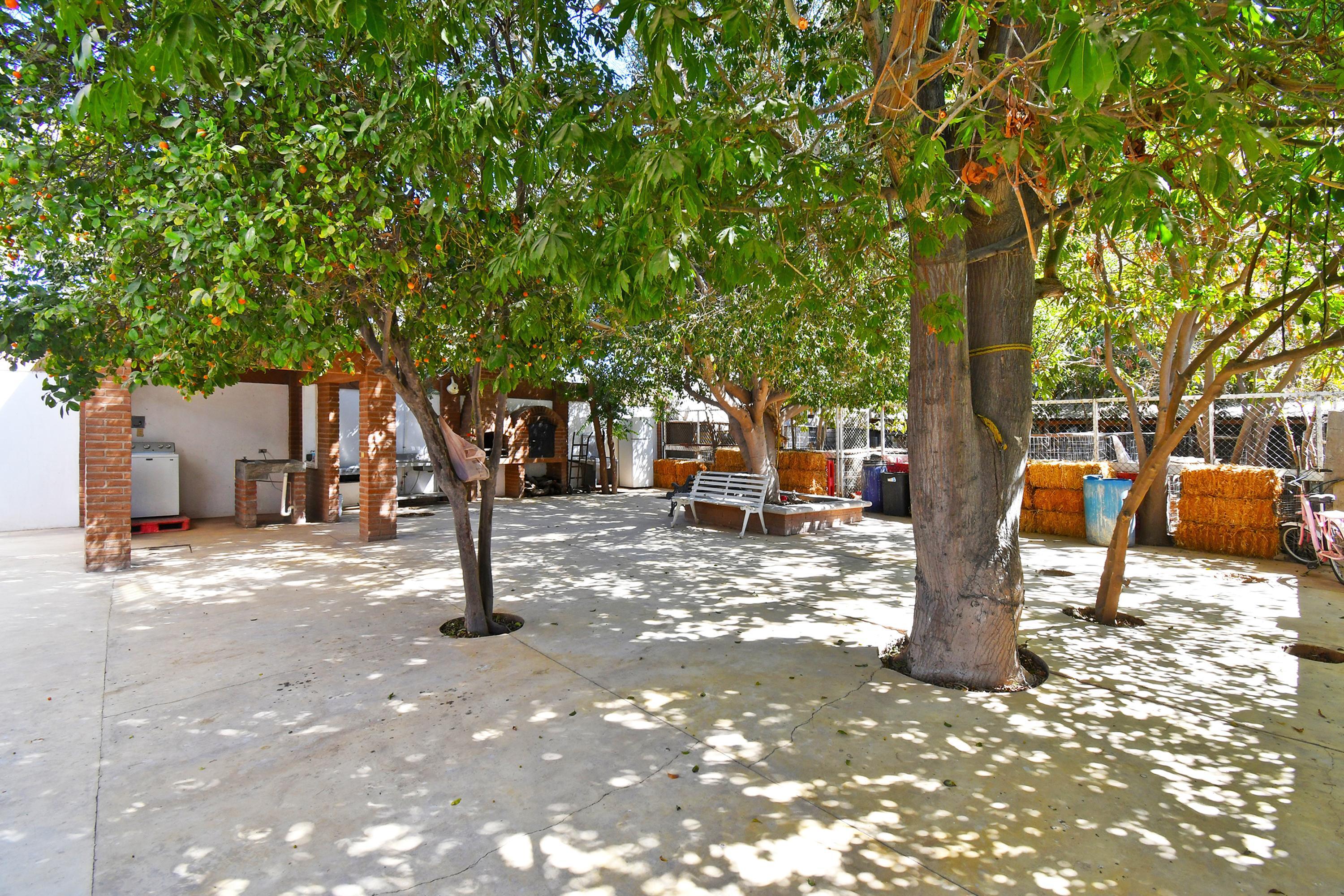 Jaime Bravo CASA LADRILLO La Paz BCS MLS #25-850 47 MLS #25-850 image #6