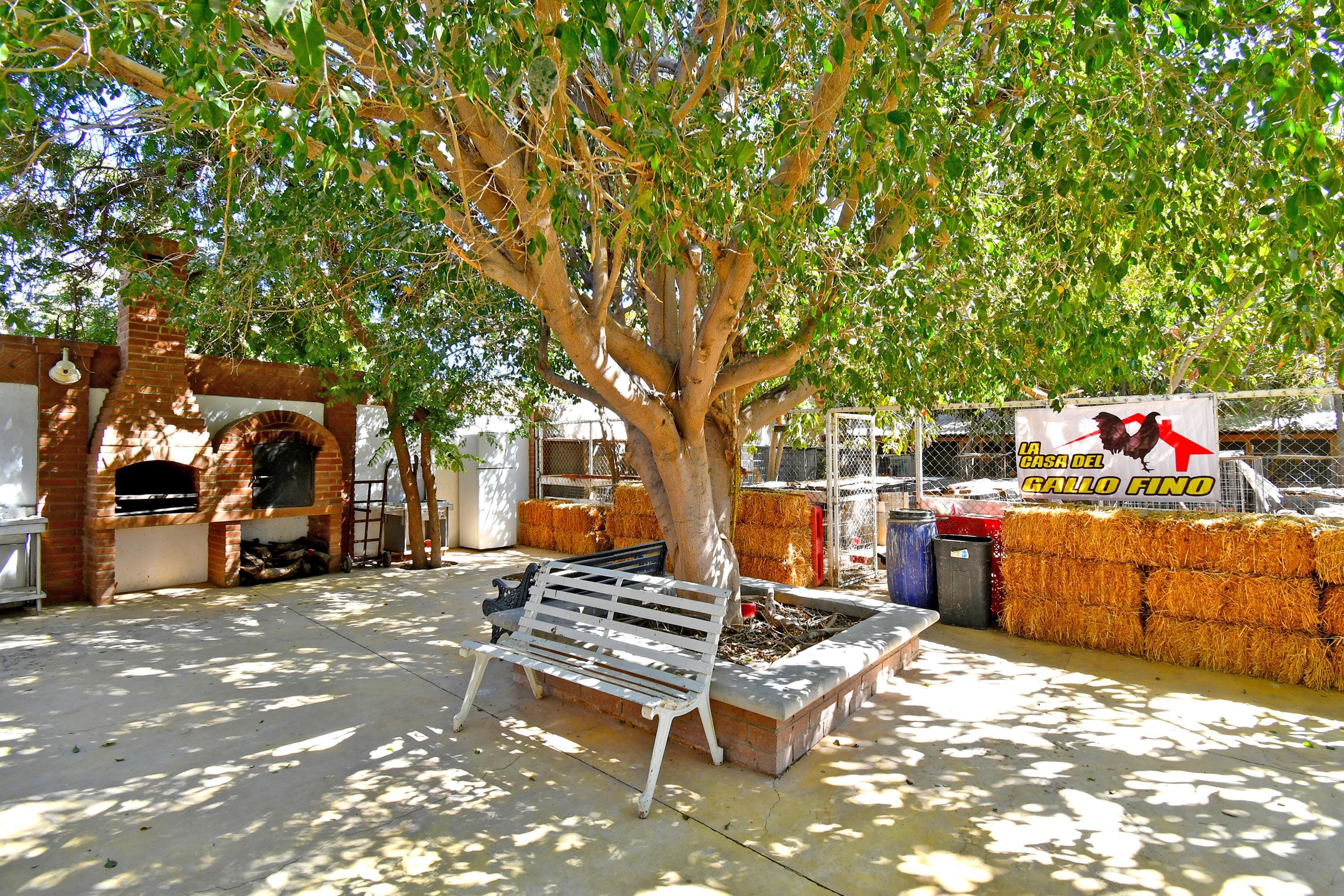 MLS #25-850 image #7