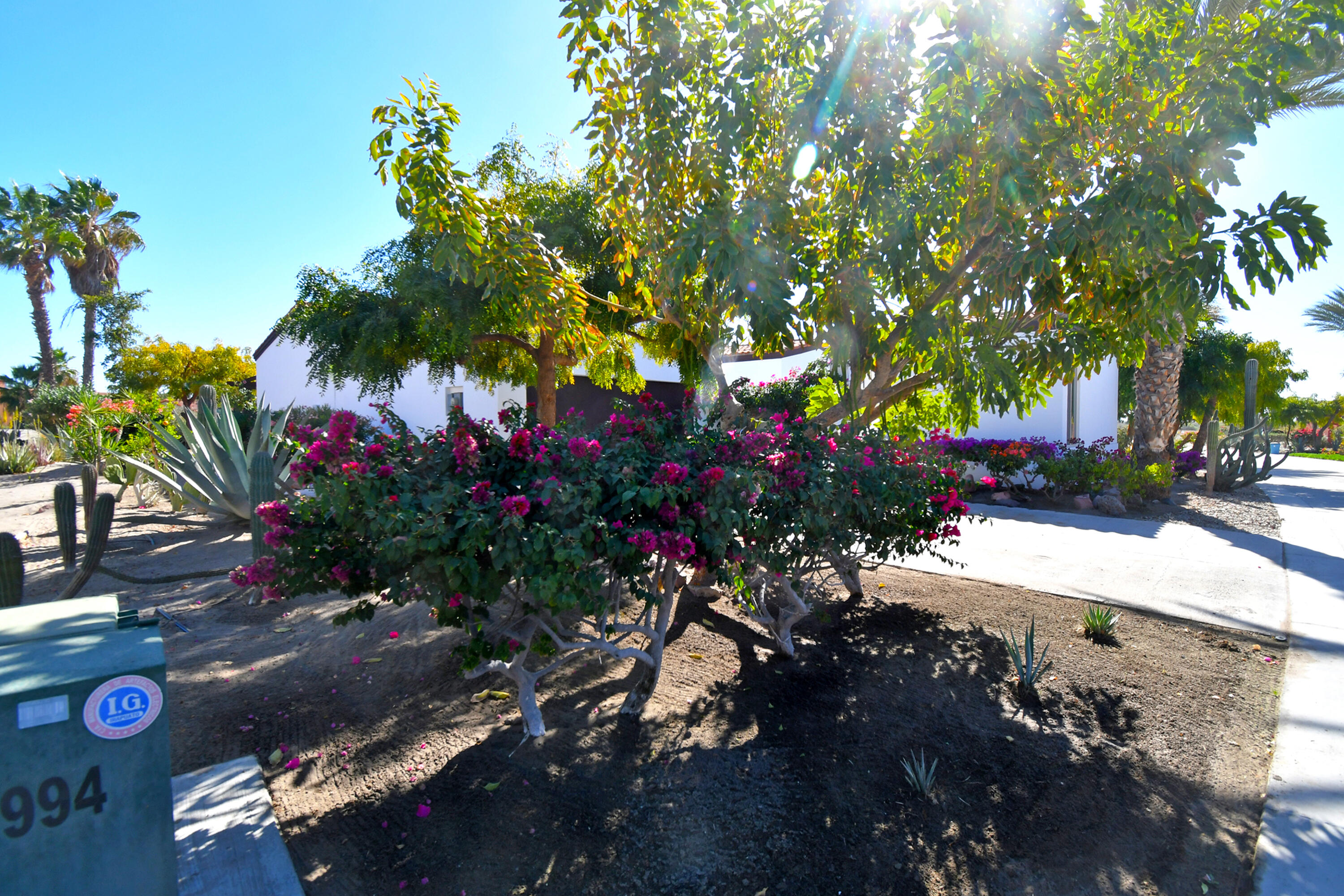 MLS #25-859 image #24